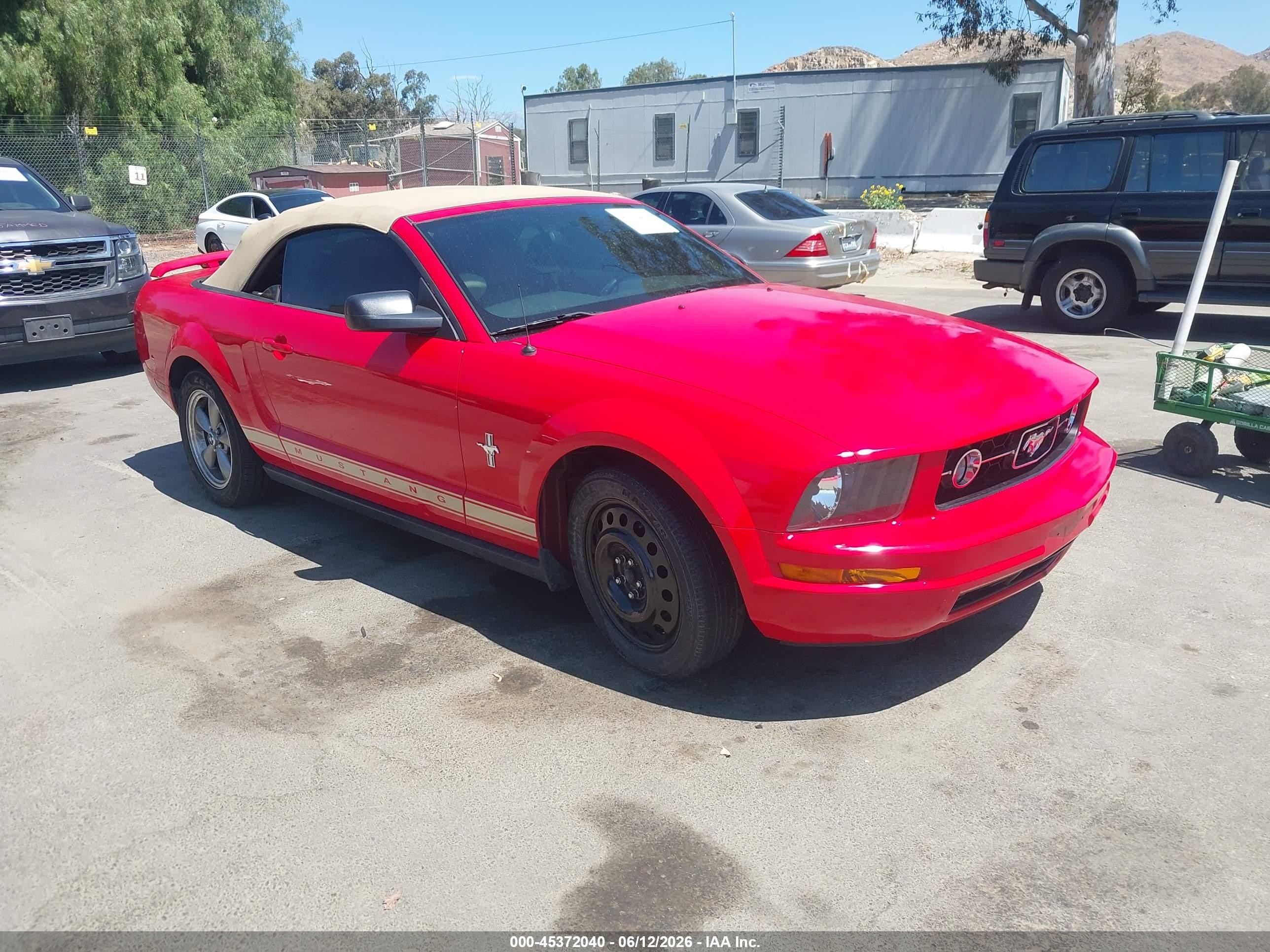 2006 Ford Mustang V6 Red vin: 1ZVFT84NX65240283