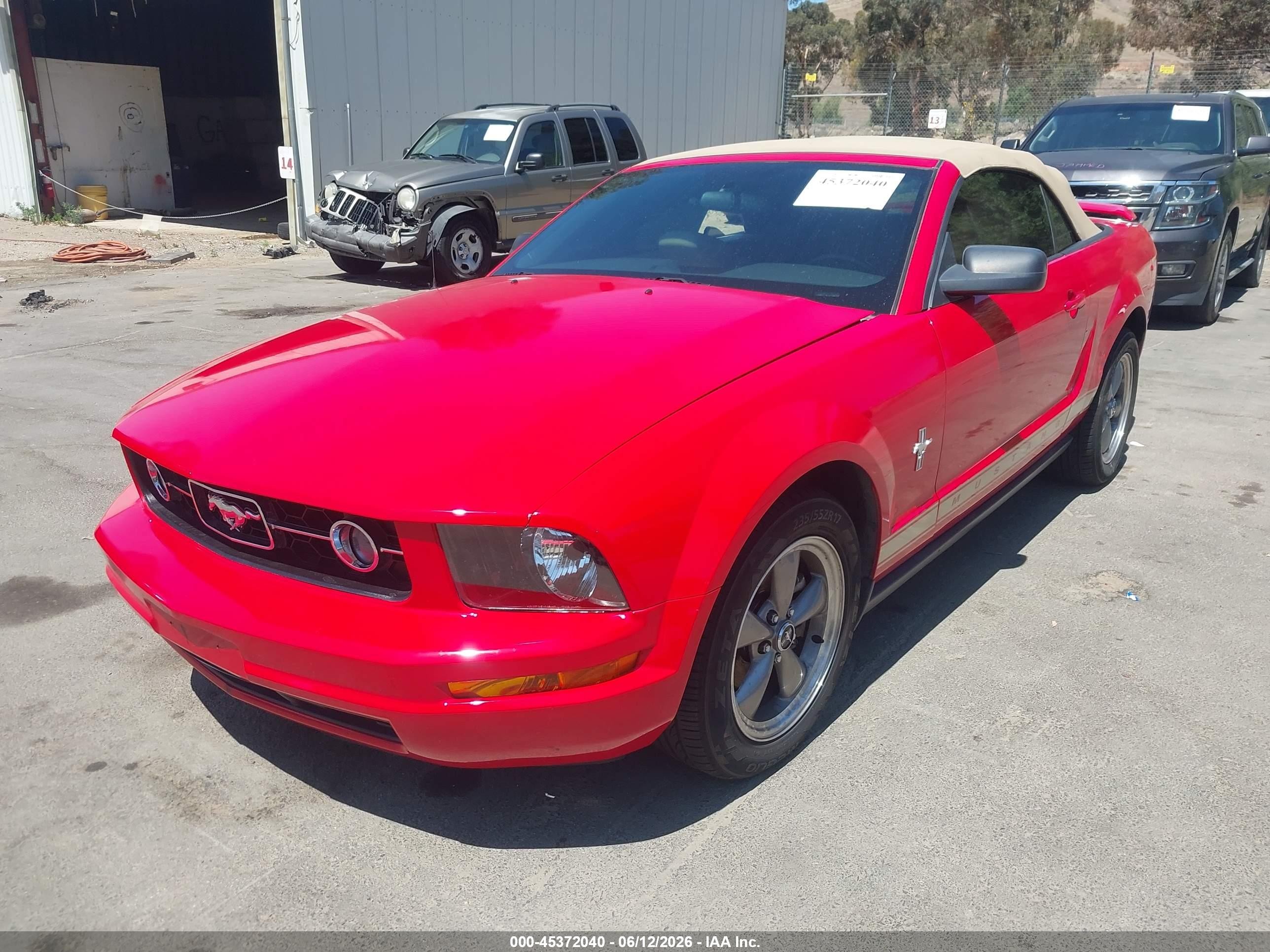 2006 Ford Mustang V6 Red vin: 1ZVFT84NX65240283
