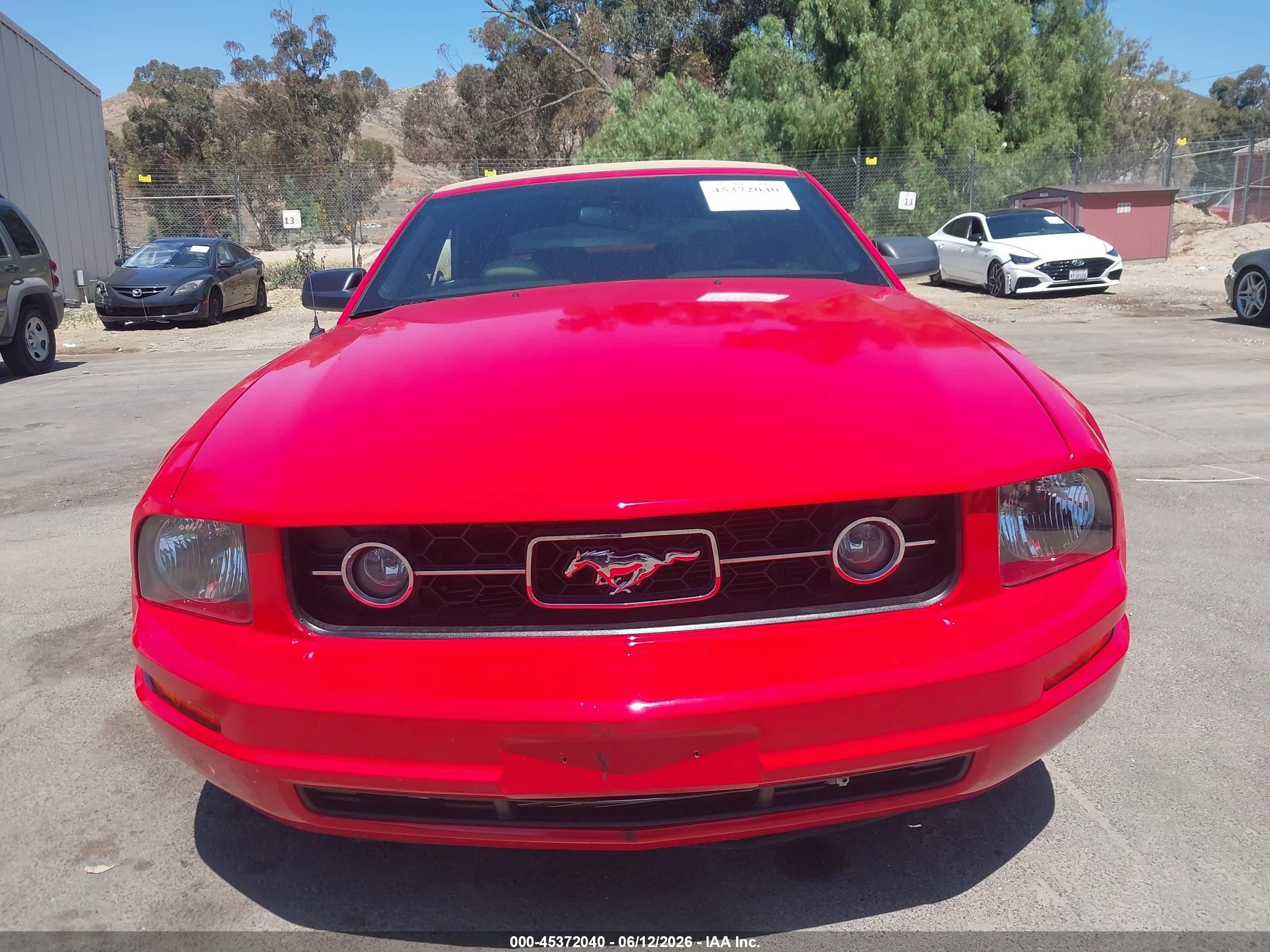 2006 Ford Mustang V6 Red vin: 1ZVFT84NX65240283