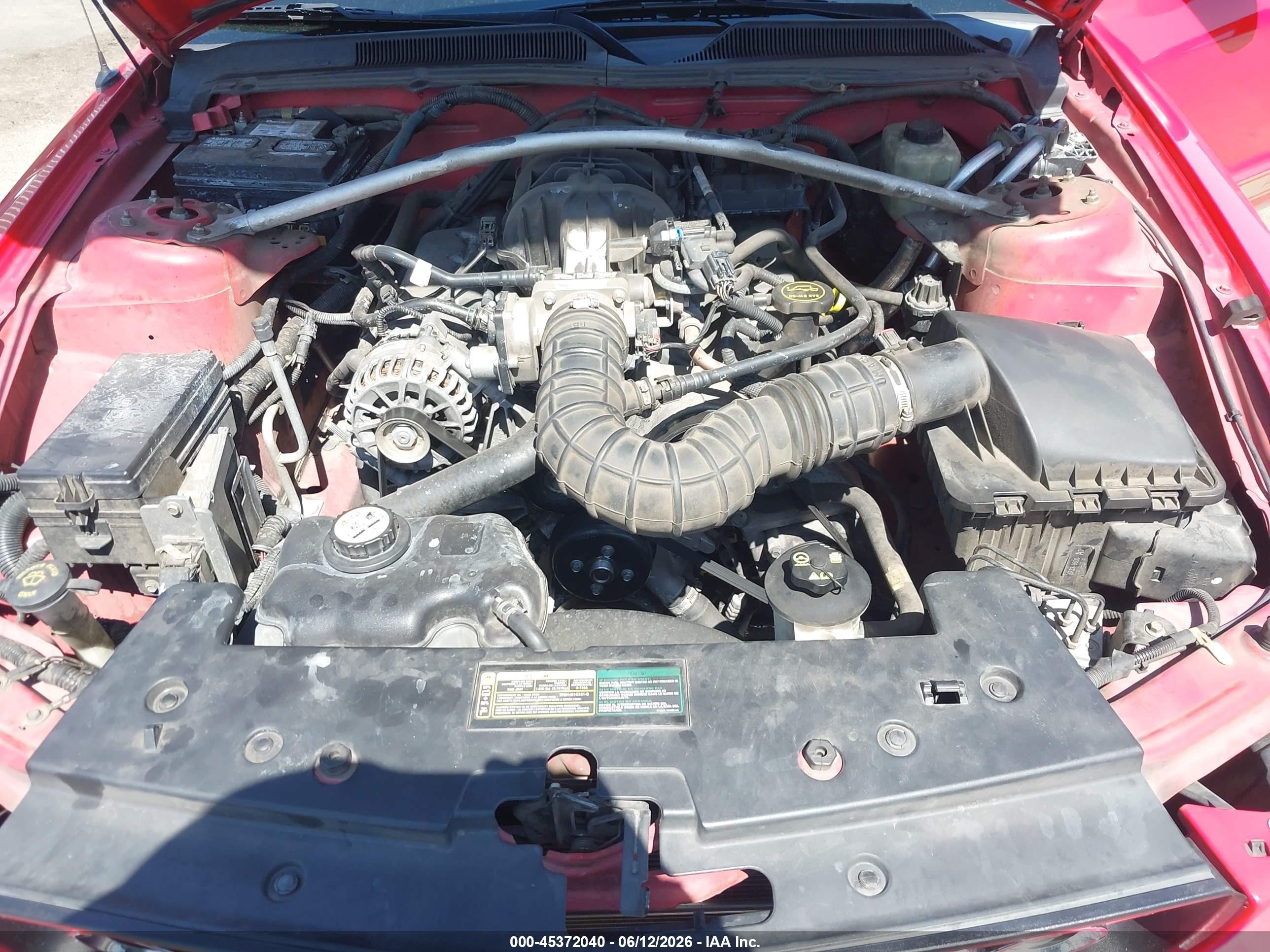2006 Ford Mustang V6 Red vin: 1ZVFT84NX65240283
