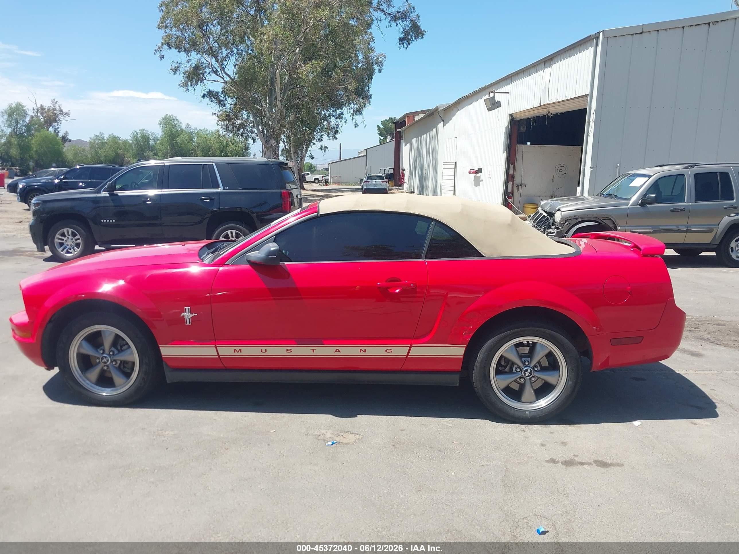 2006 Ford Mustang V6 Red vin: 1ZVFT84NX65240283