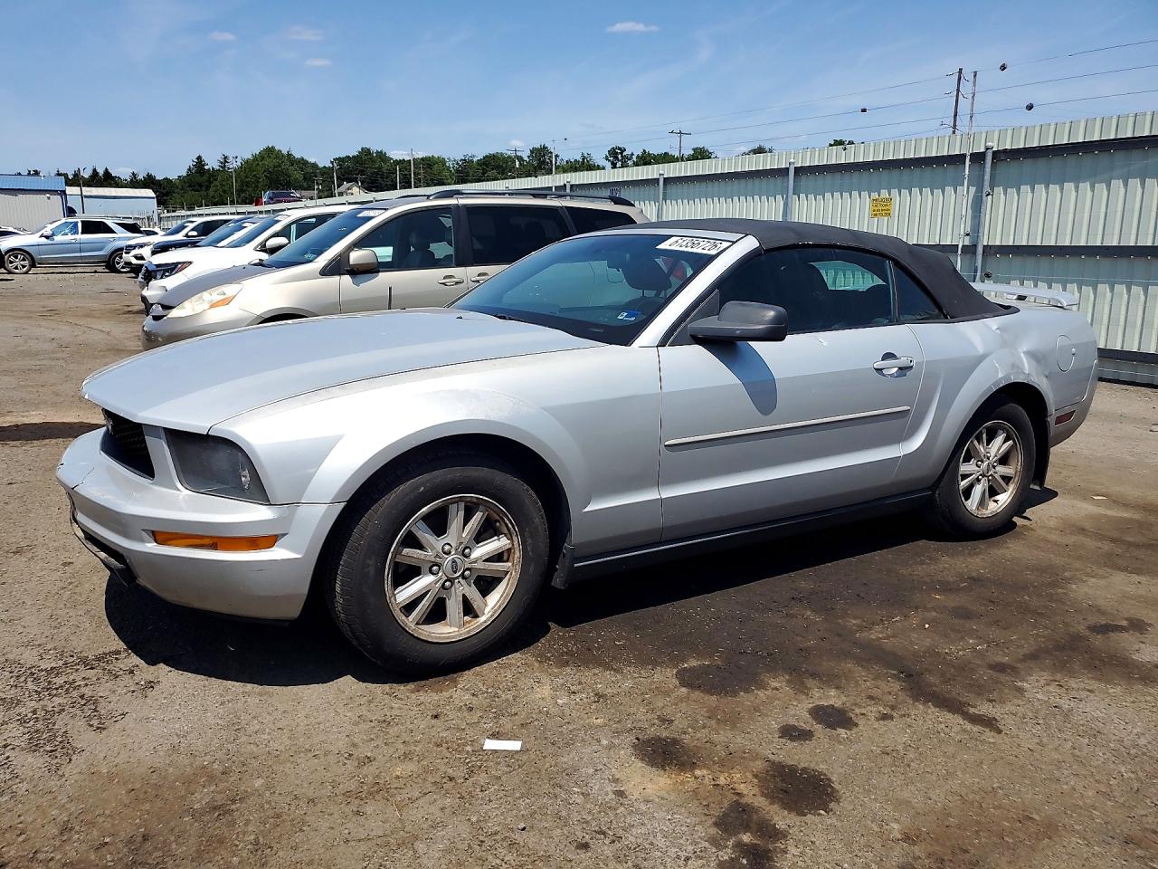 2006 Ford Mustang Silver vin: 1ZVFT84NX65254720