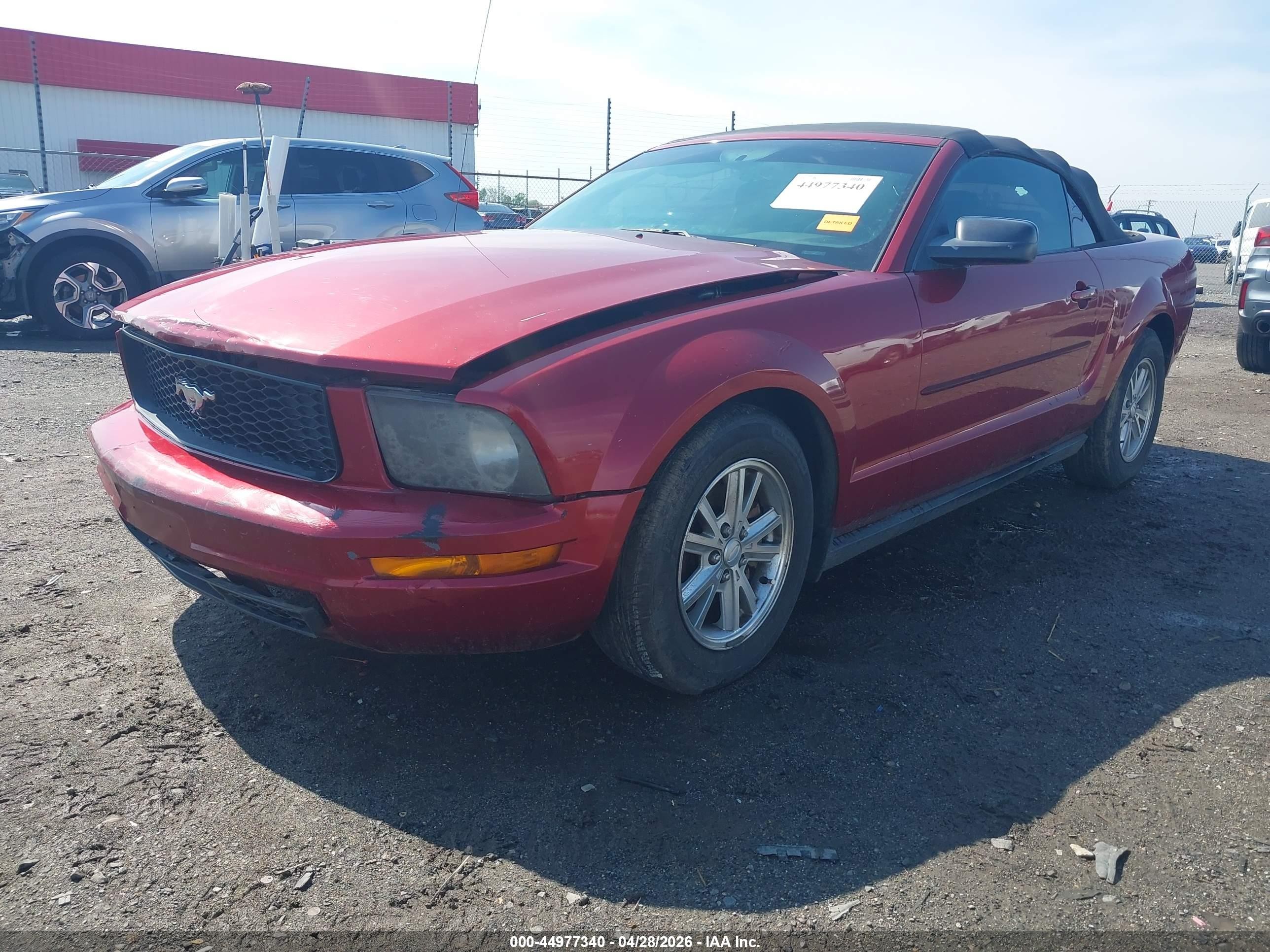 2007 Ford Mustang V6 Deluxe/v6 Premium Темно-бордовый vin: 1ZVFT84NX75278906