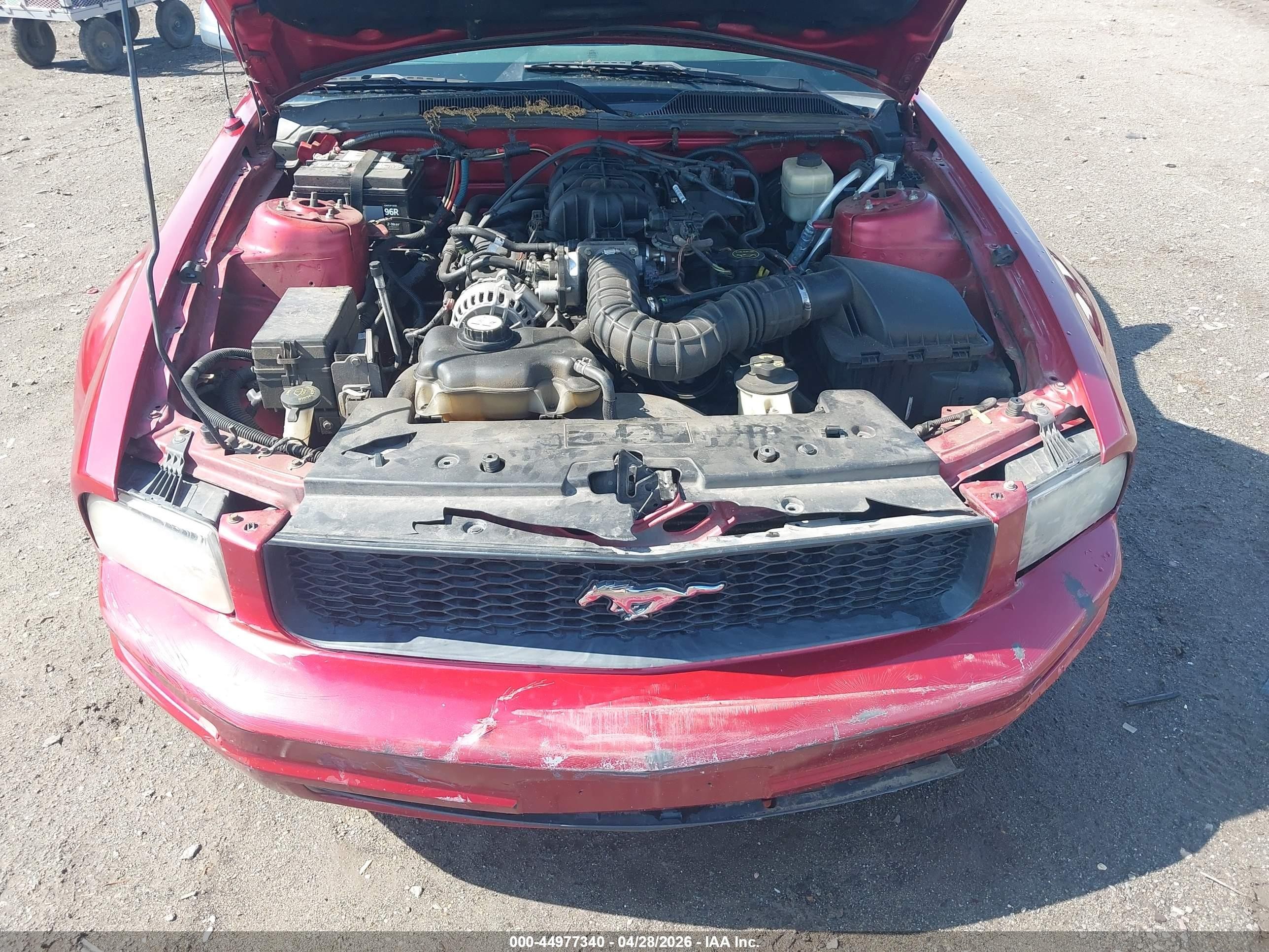 2007 Ford Mustang V6 Deluxe/v6 Premium Темно-бордовый vin: 1ZVFT84NX75278906