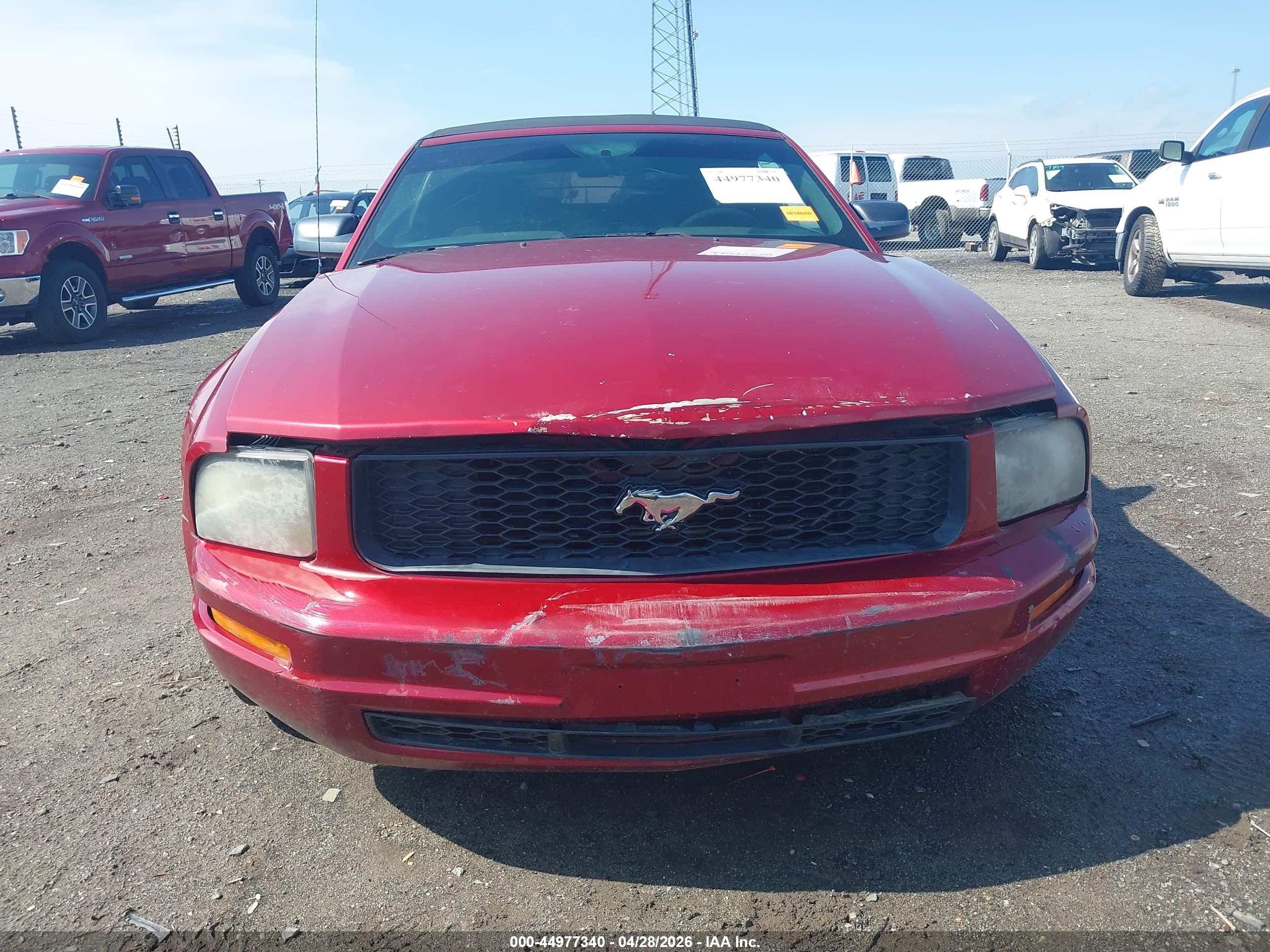2007 Ford Mustang V6 Deluxe/v6 Premium Темно-бордовый vin: 1ZVFT84NX75278906