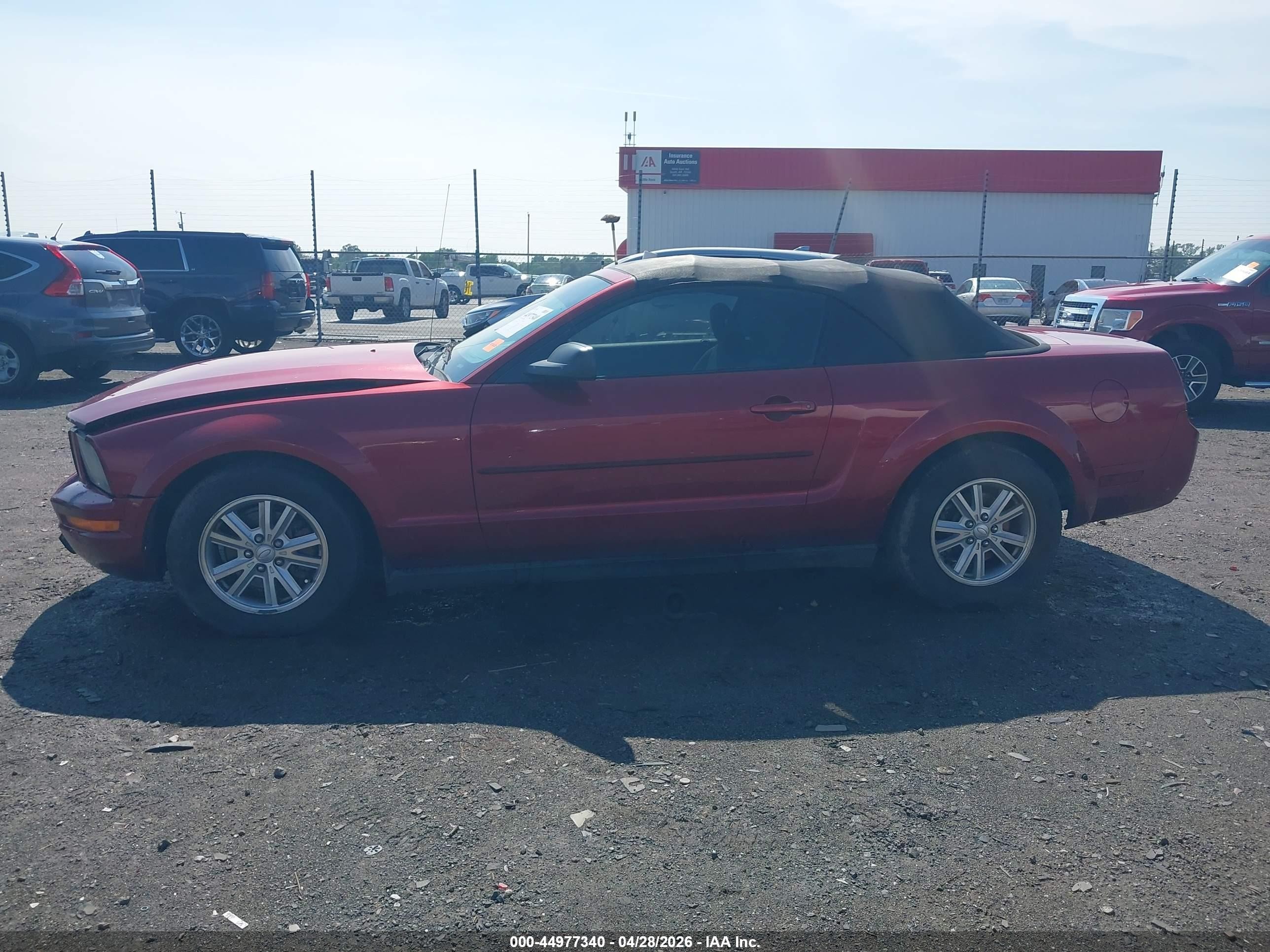 2007 Ford Mustang V6 Deluxe/v6 Premium Темно-бордовый vin: 1ZVFT84NX75278906