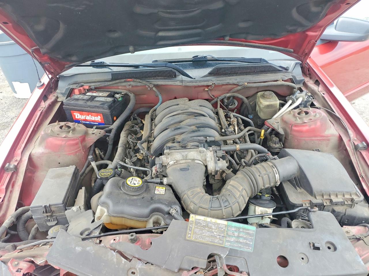 2006 Ford Mustang Gt Red vin: 1ZVFT85H065169734