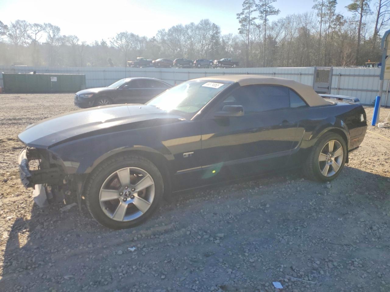 2006 Ford Mustang Gt Black vin: 1ZVFT85H065238535