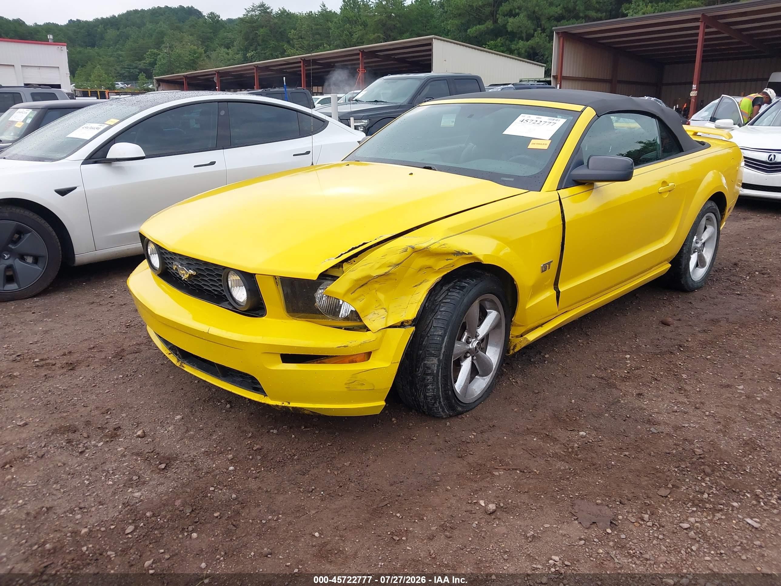 2006 Ford Mustang Gt Yellow vin: 1ZVFT85H765231128