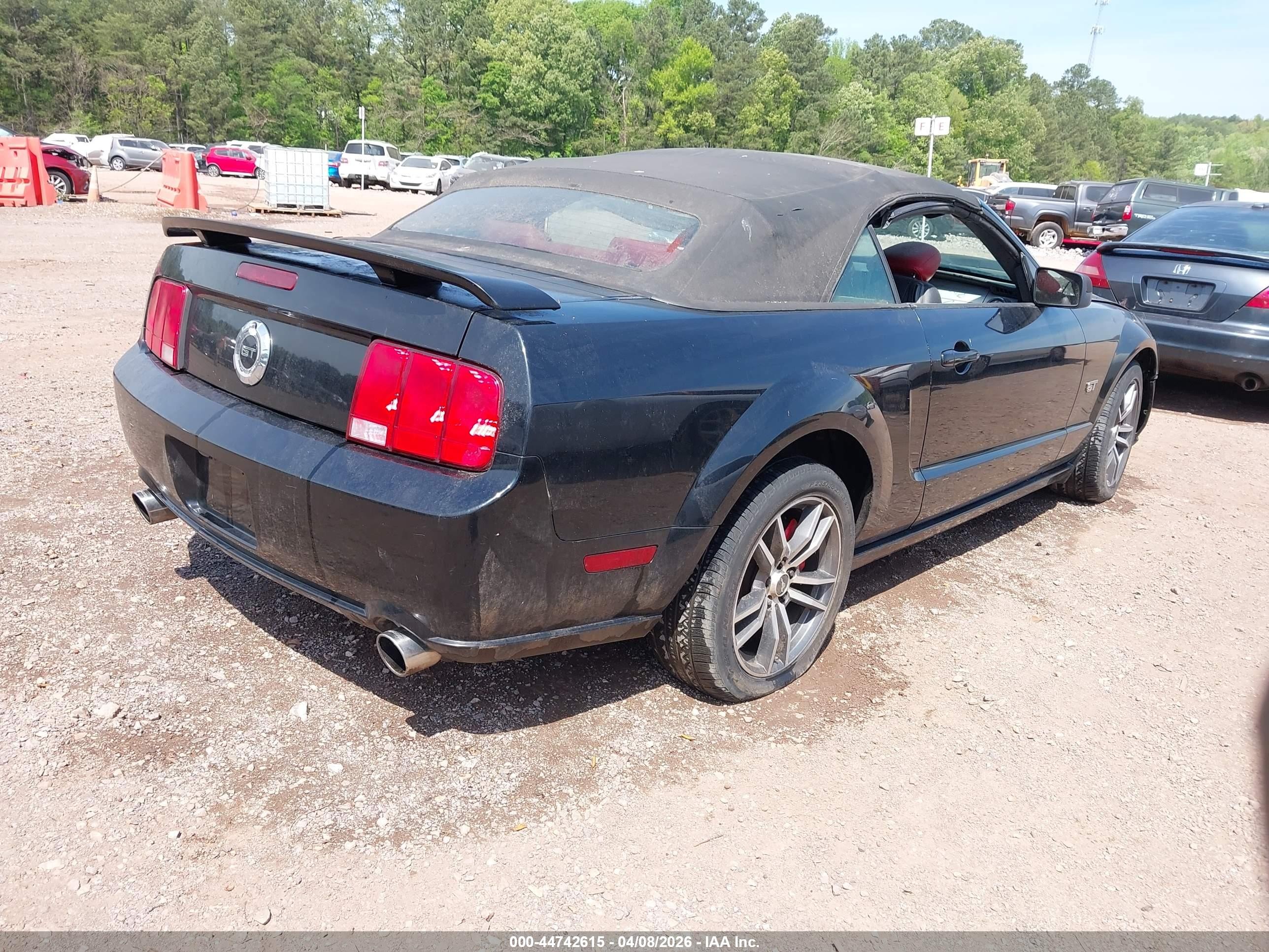 2005 Ford Mustang Gt Черный vin: 1ZVFT85H955182836