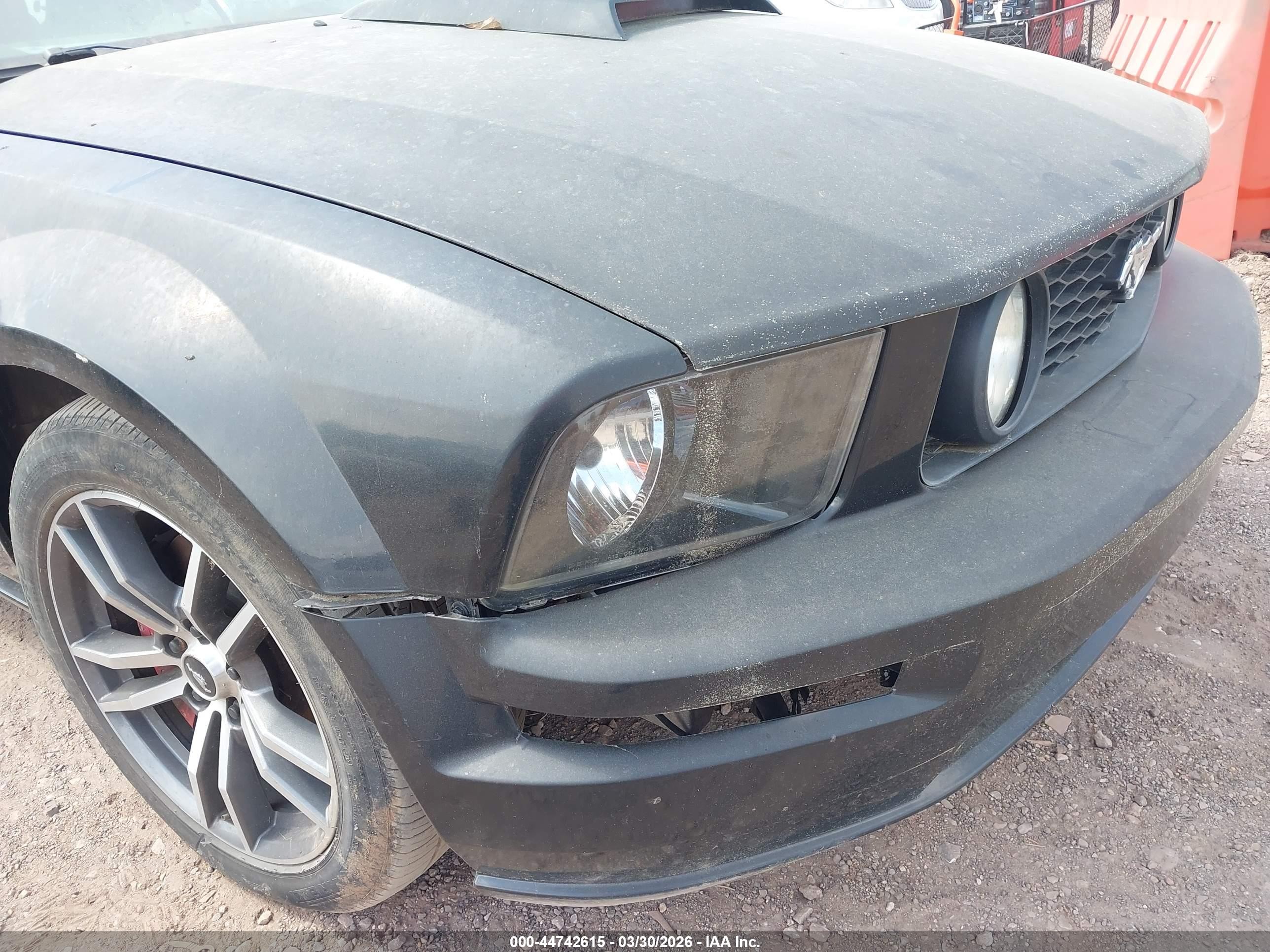 2005 Ford Mustang Gt Черный vin: 1ZVFT85H955182836