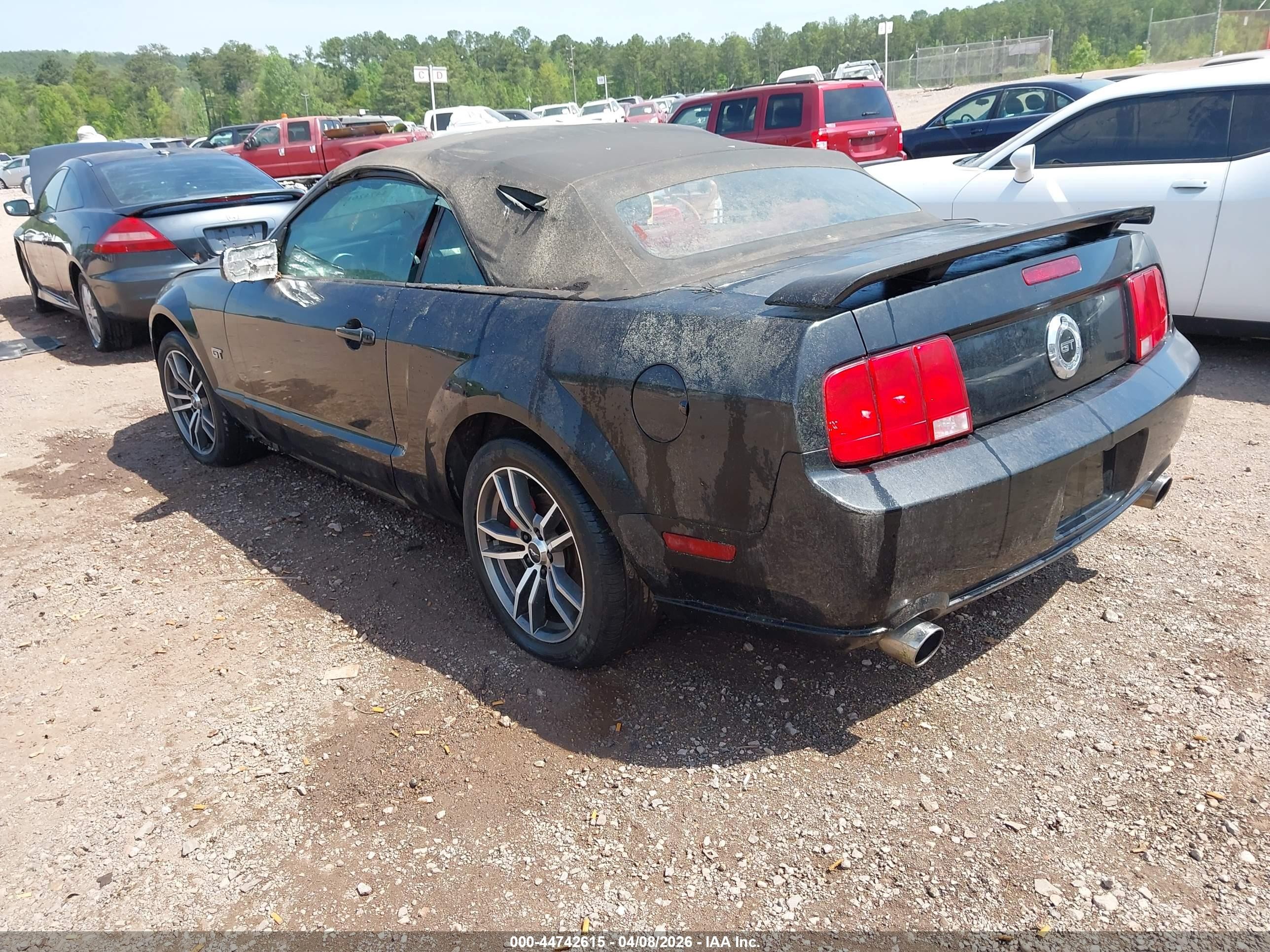 2005 Ford Mustang Gt Черный vin: 1ZVFT85H955182836
