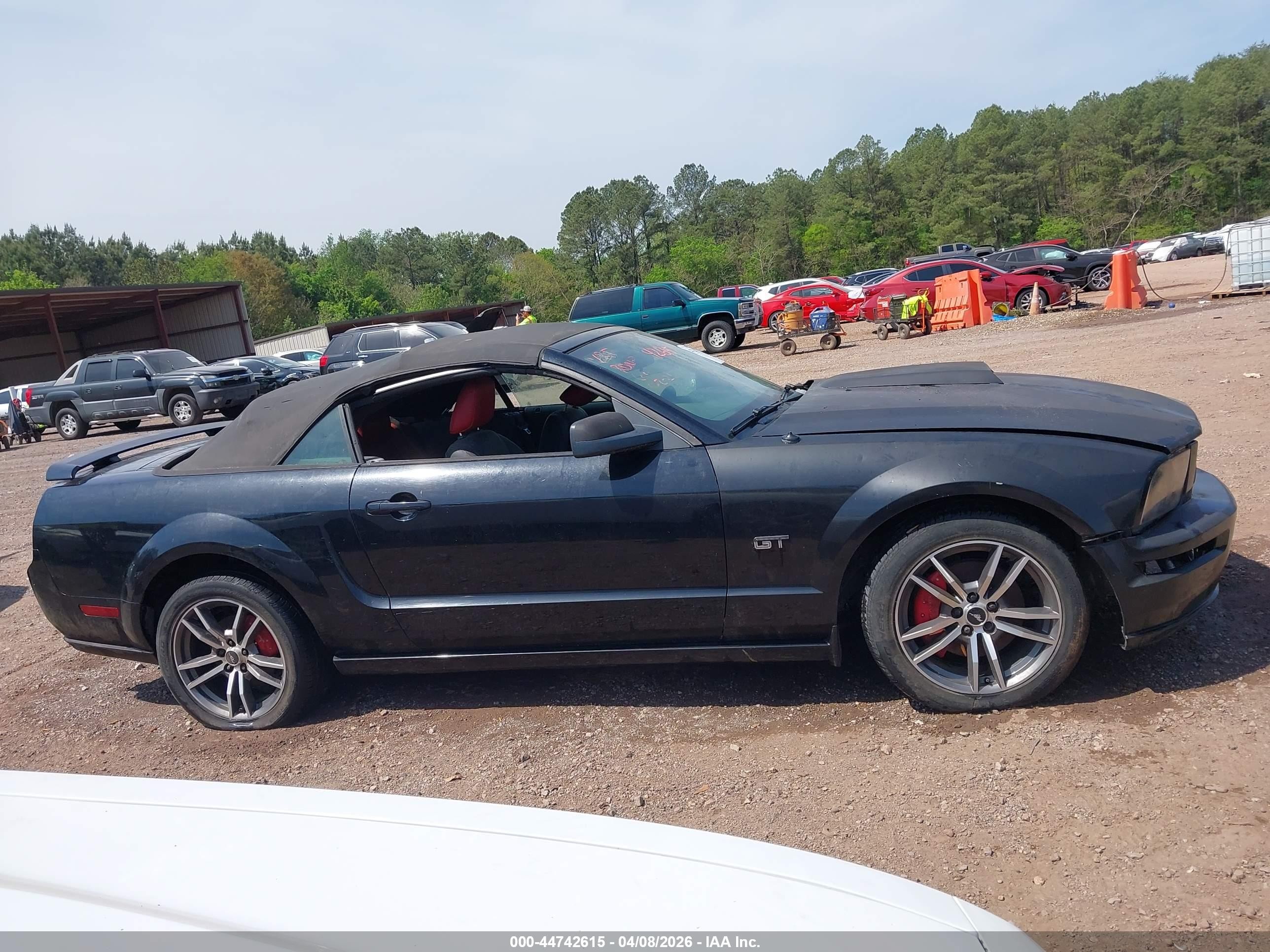 2005 Ford Mustang Gt Черный vin: 1ZVFT85H955182836