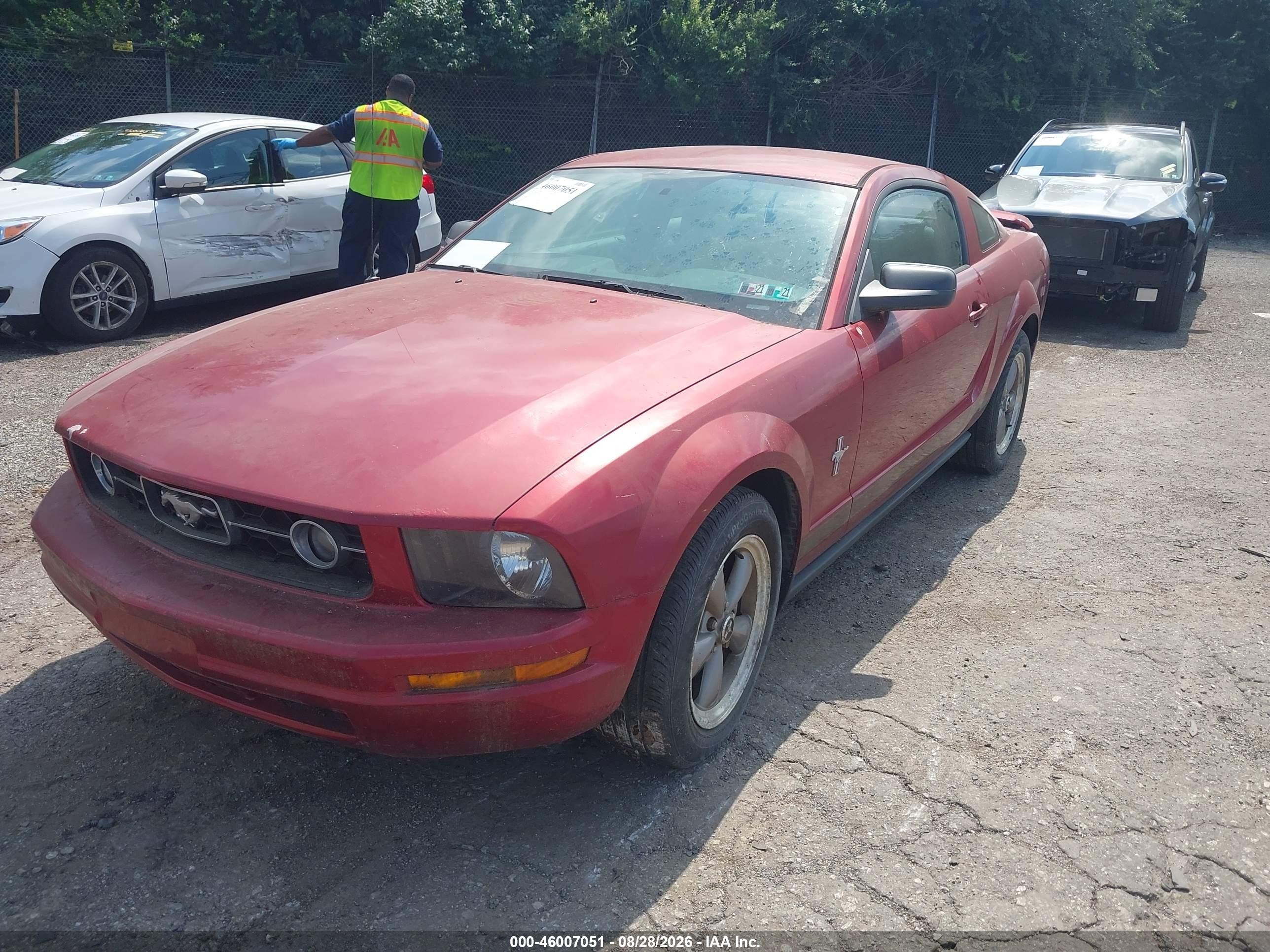 2006 Ford Mustang V6 Red vin: 1ZVHT80N065160120