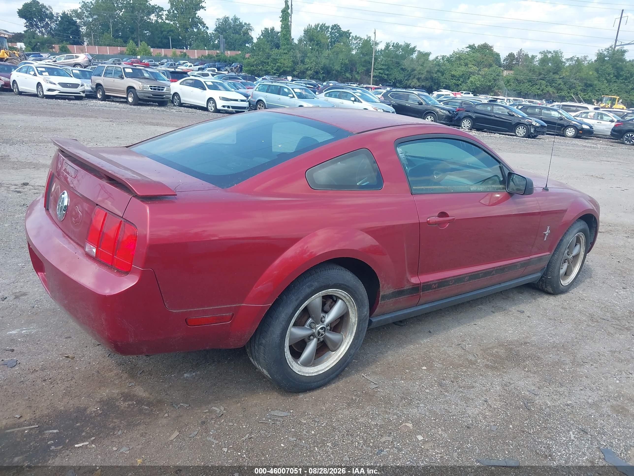 2006 Ford Mustang V6 Red vin: 1ZVHT80N065160120