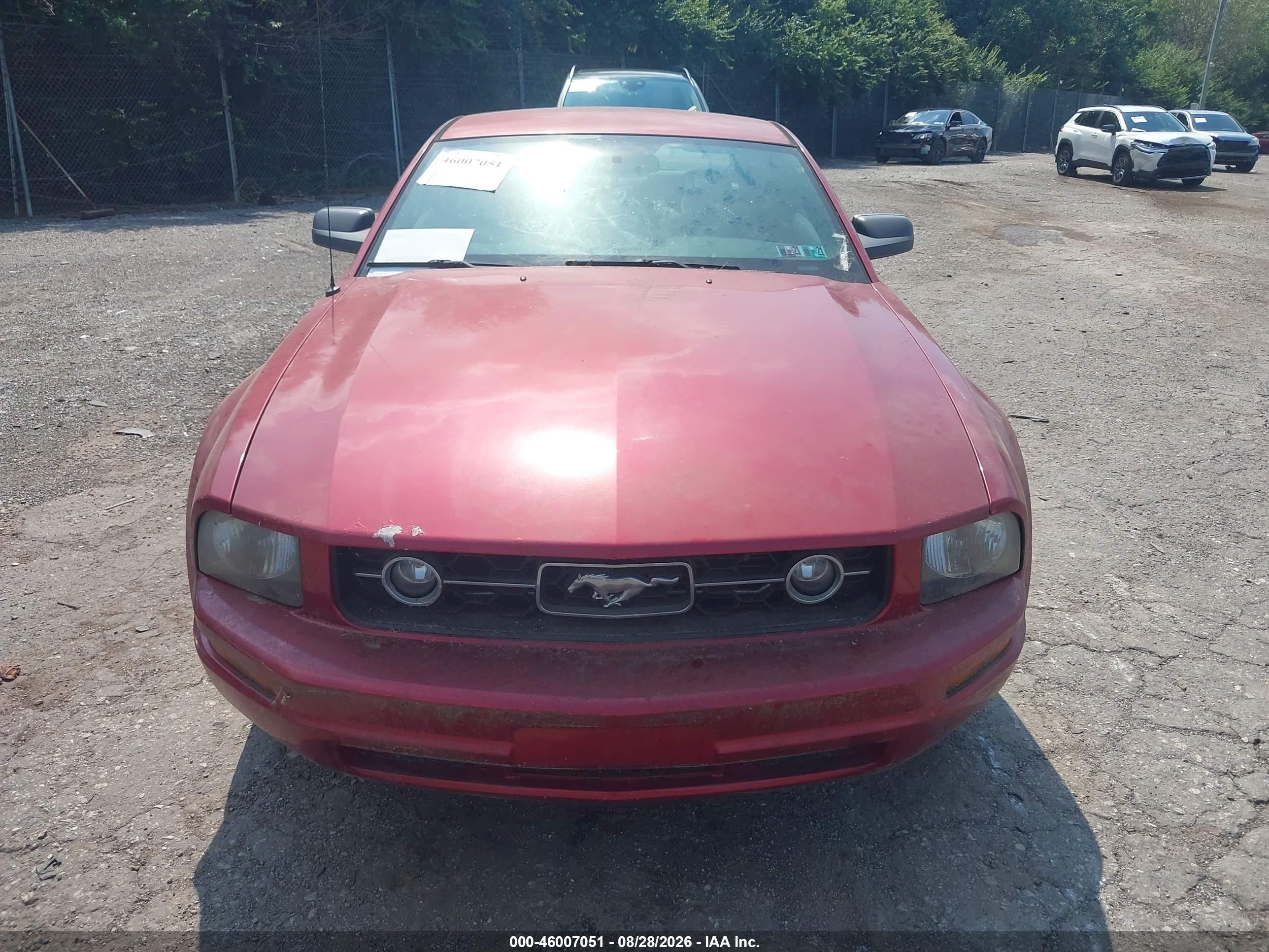 2006 Ford Mustang V6 Red vin: 1ZVHT80N065160120