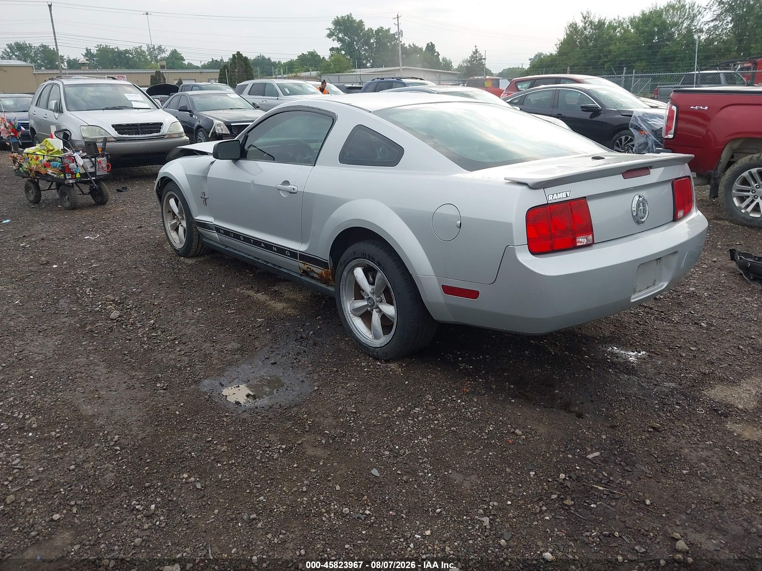 2007 Ford Mustang V6 Deluxe/v6 Premium Silver vin: 1ZVHT80N075239952