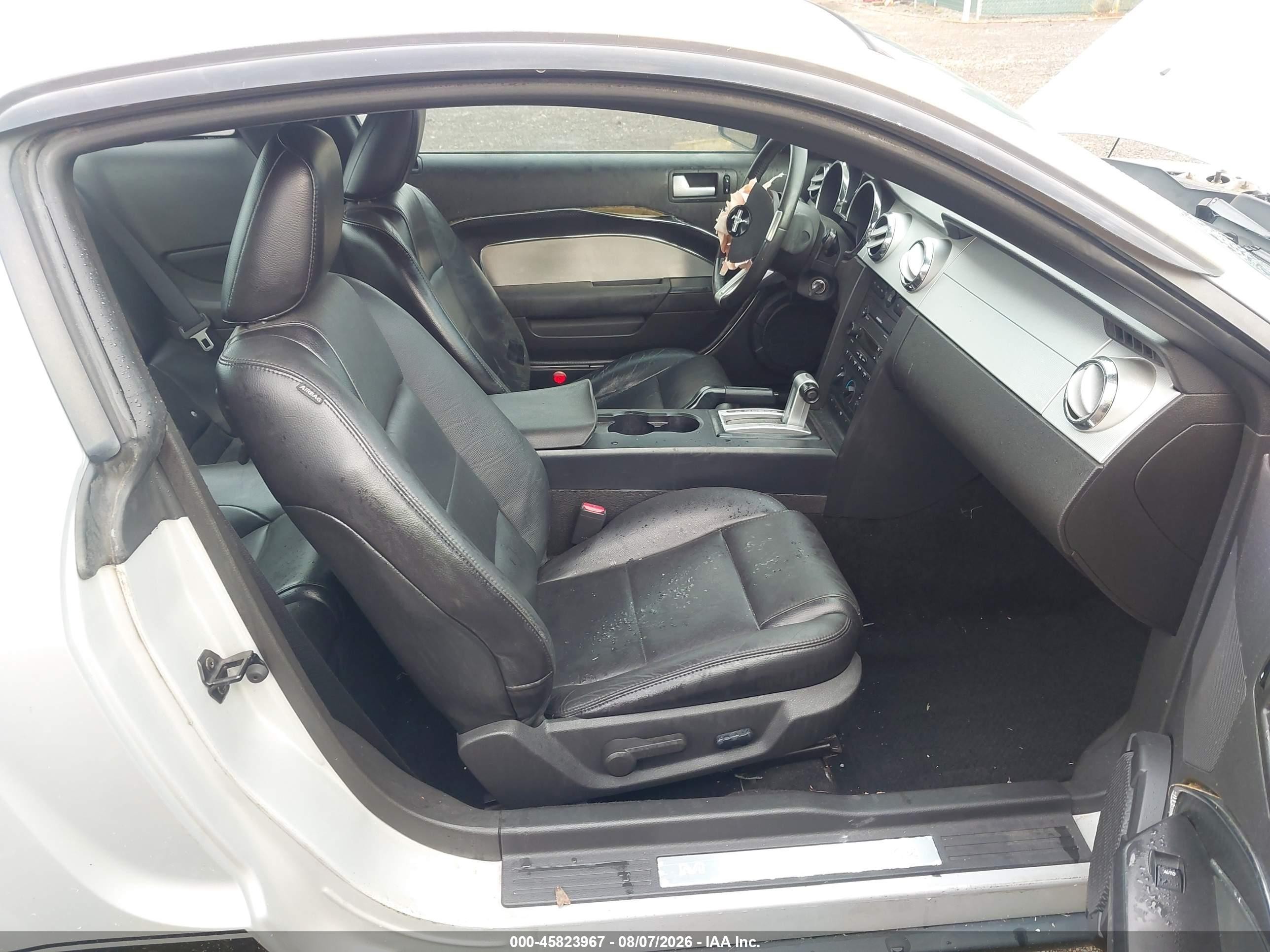 2007 Ford Mustang V6 Deluxe/v6 Premium Silver vin: 1ZVHT80N075239952