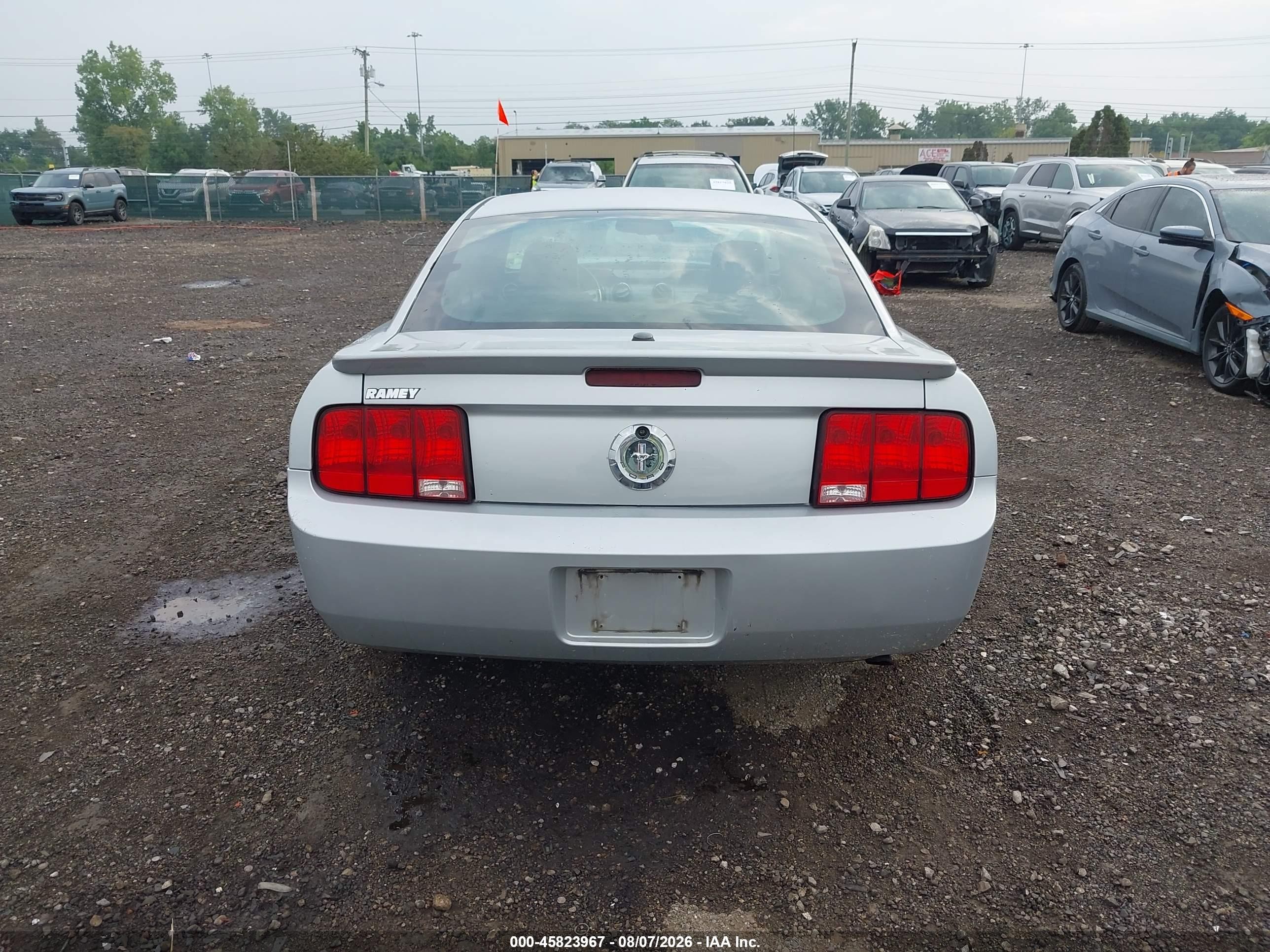2007 Ford Mustang V6 Deluxe/v6 Premium Silver vin: 1ZVHT80N075239952