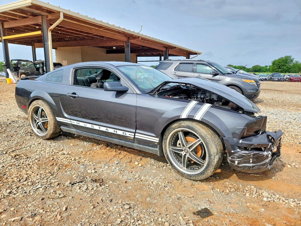 2008 Ford Mustang Серый vin: 1ZVHT80N085104553