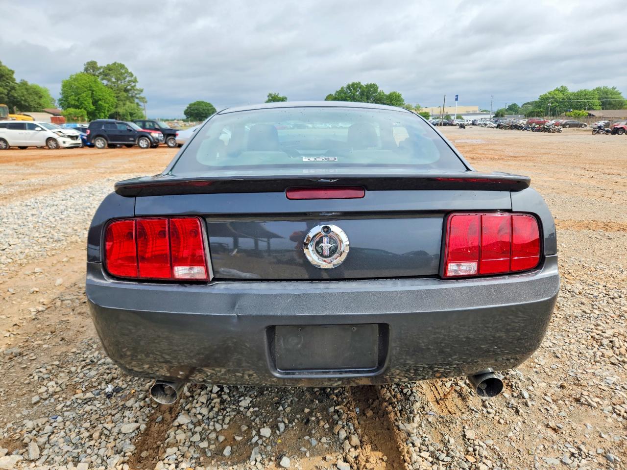 2008 Ford Mustang Серый vin: 1ZVHT80N085104553