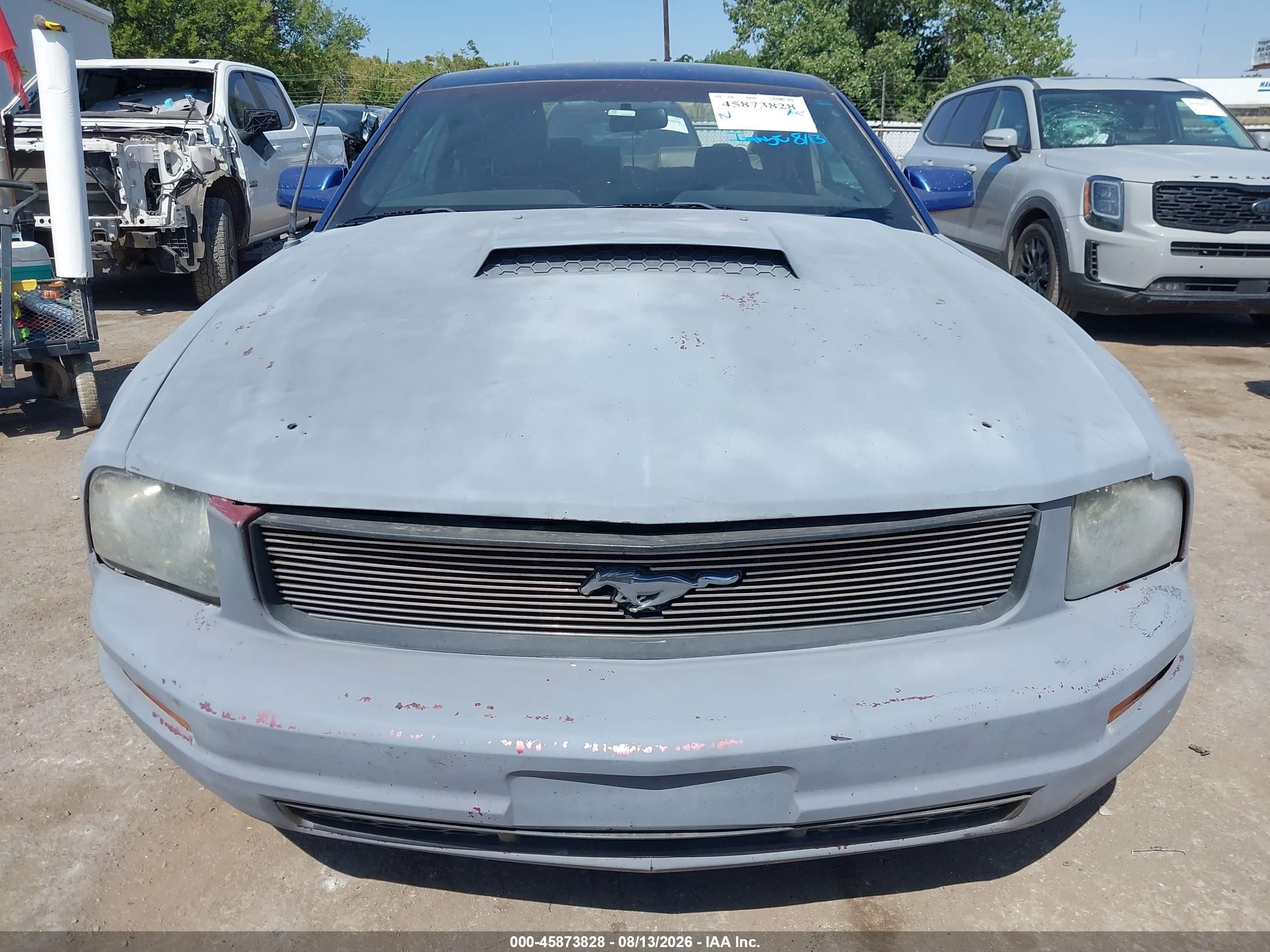 2008 Ford Mustang V6 Deluxe/v6 Premium Синий vin: 1ZVHT80N085120297
