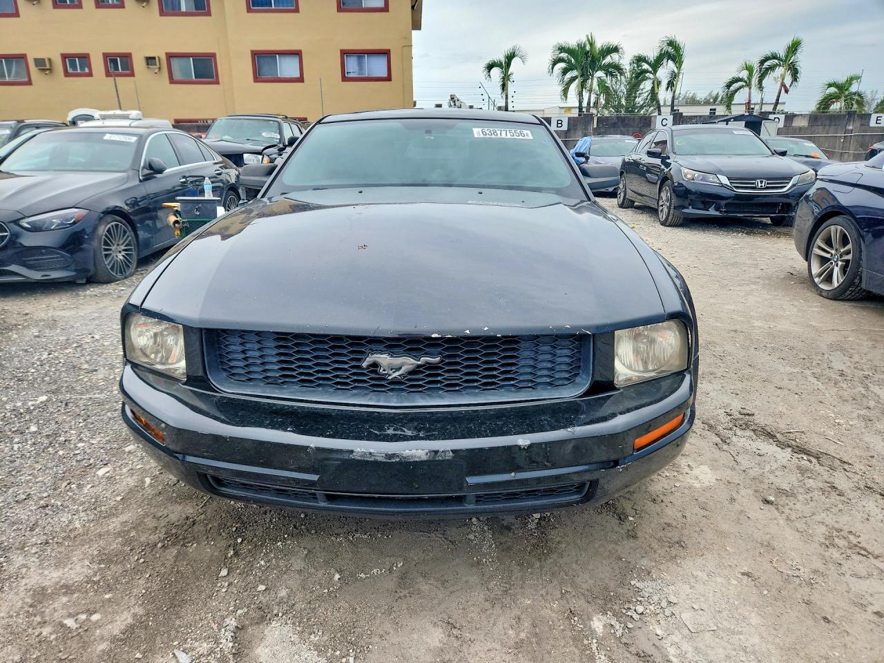 2008 Ford Mustang Black vin: 1ZVHT80N085147189