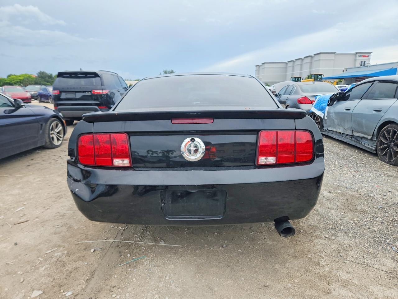 2008 Ford Mustang Black vin: 1ZVHT80N085147189