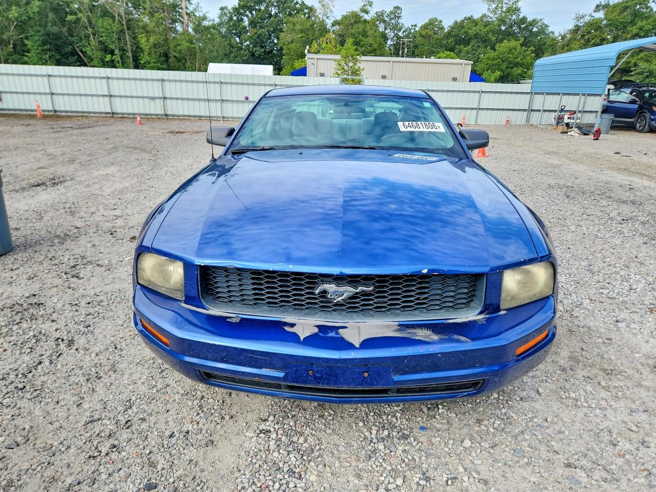 2008 Ford Mustang Blue vin: 1ZVHT80N085150089
