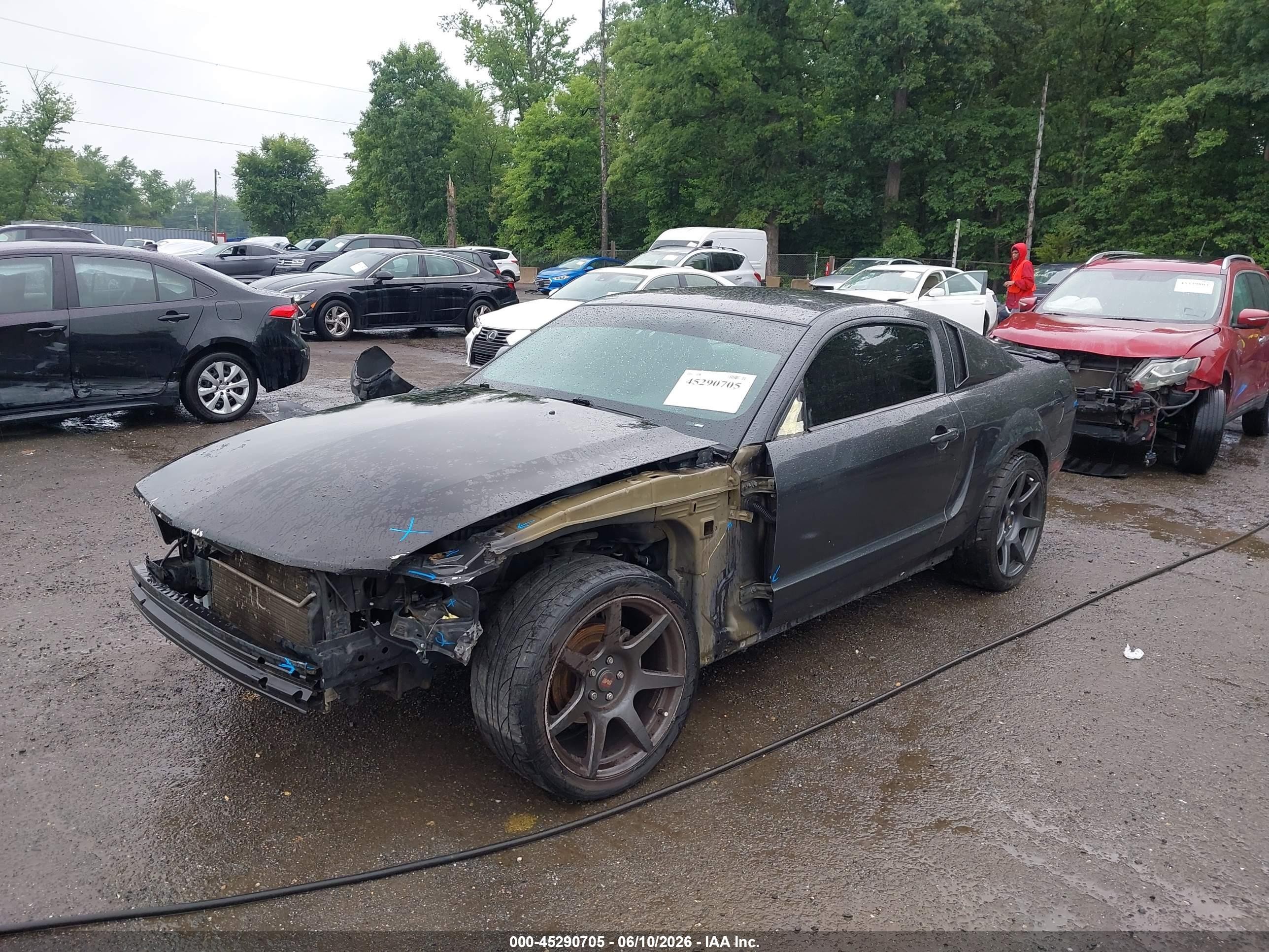 2008 Ford Mustang V6 Deluxe/v6 Premium Gray vin: 1ZVHT80N085160525