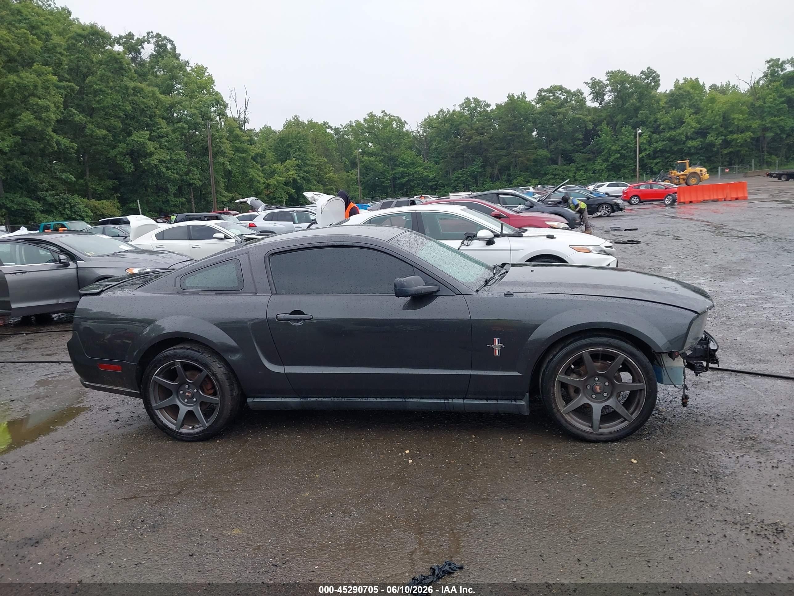 2008 Ford Mustang V6 Deluxe/v6 Premium Gray vin: 1ZVHT80N085160525