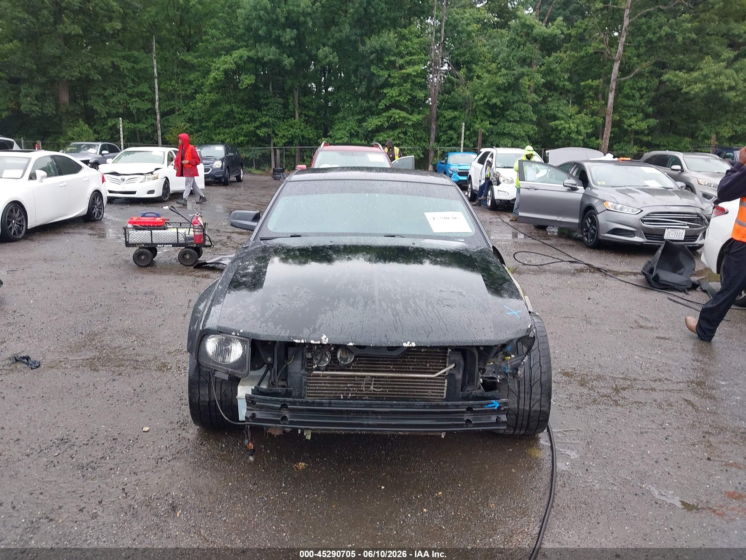 2008 Ford Mustang V6 Deluxe/v6 Premium Gray vin: 1ZVHT80N085160525
