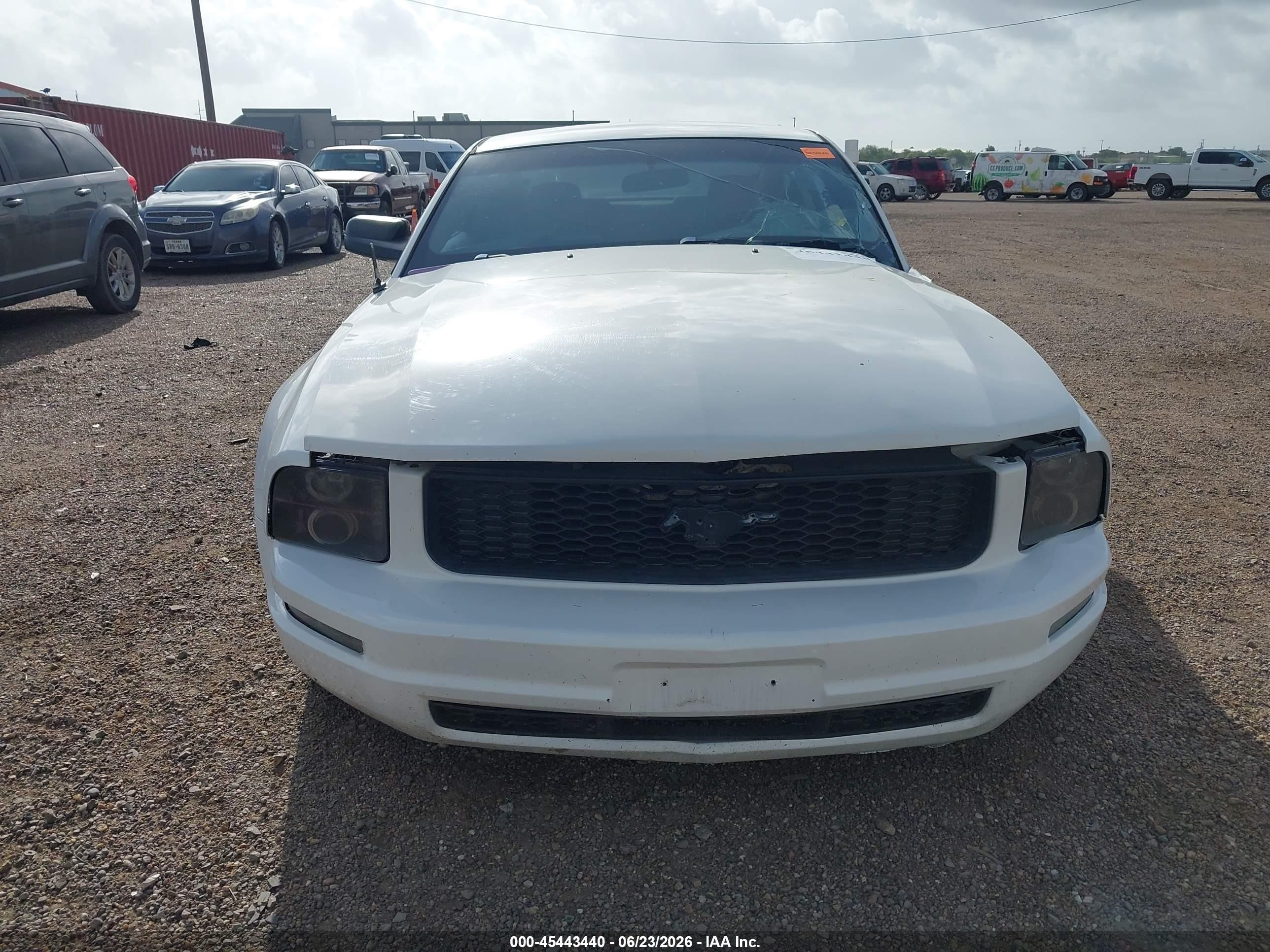 2009 Ford Mustang V6/v6 Premium White vin: 1ZVHT80N095114727