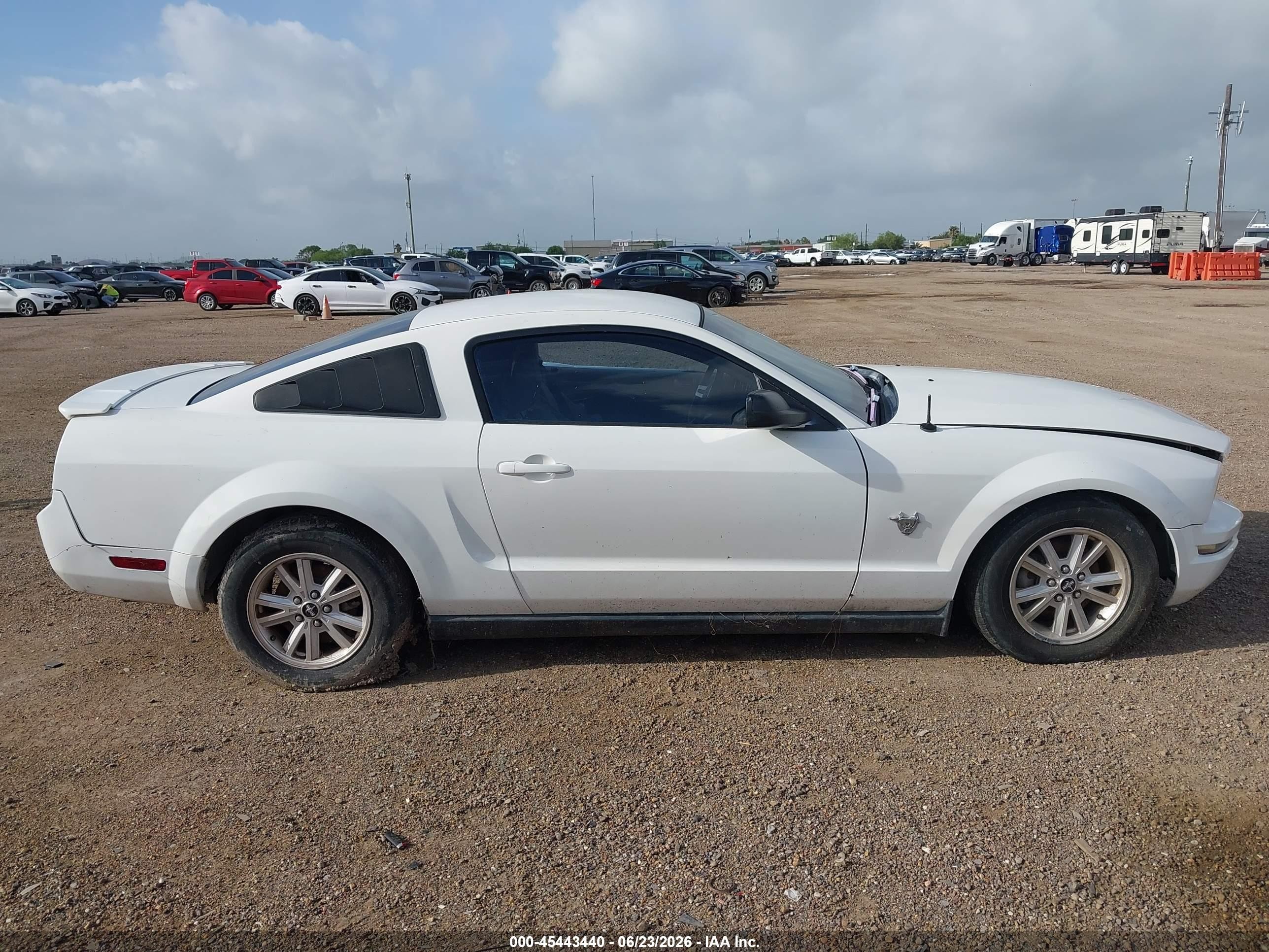2009 Ford Mustang V6/v6 Premium White vin: 1ZVHT80N095114727