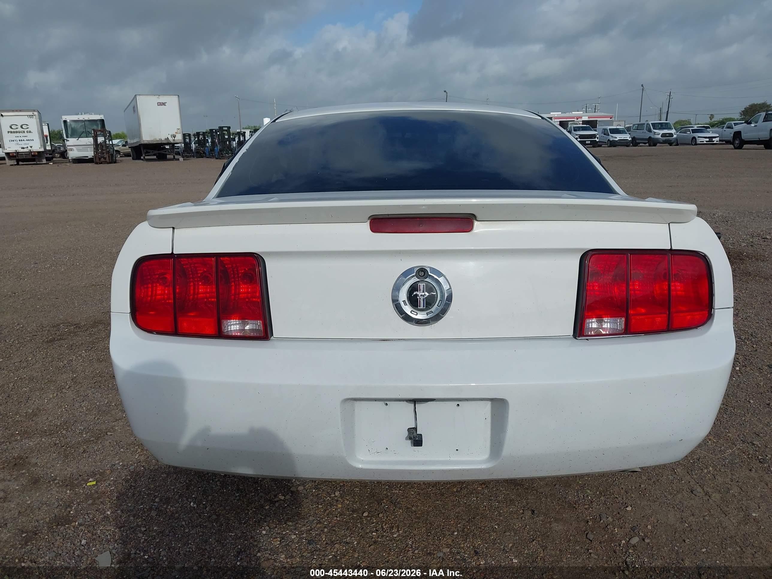 2009 Ford Mustang V6/v6 Premium White vin: 1ZVHT80N095114727