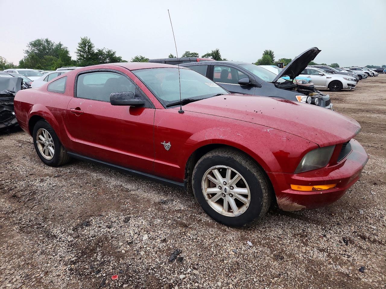 2009 Ford Mustang Красный vin: 1ZVHT80N095119796