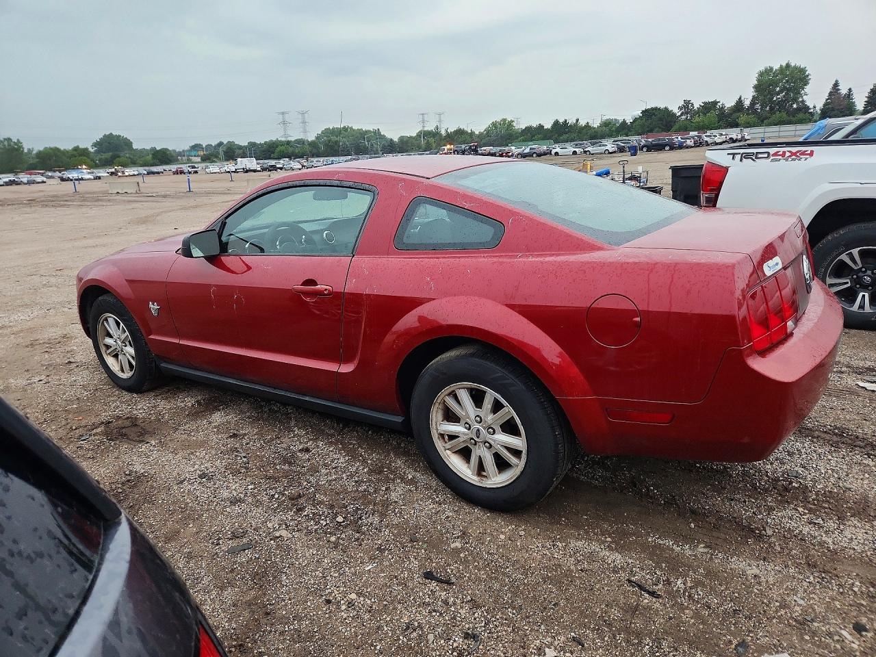 2009 Ford Mustang Красный vin: 1ZVHT80N095119796