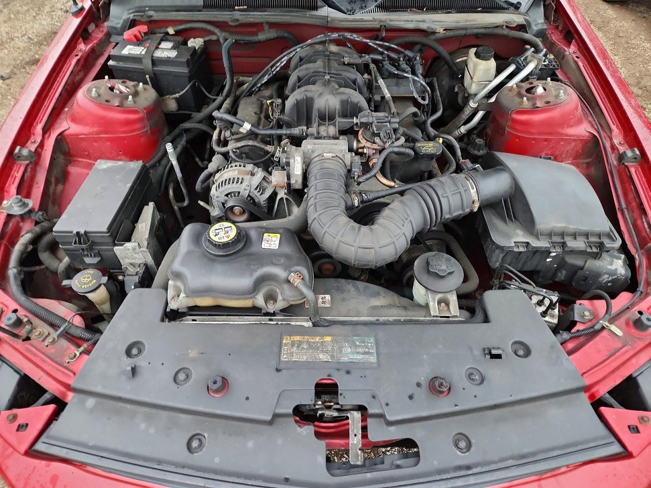 2009 Ford Mustang Красный vin: 1ZVHT80N095119796