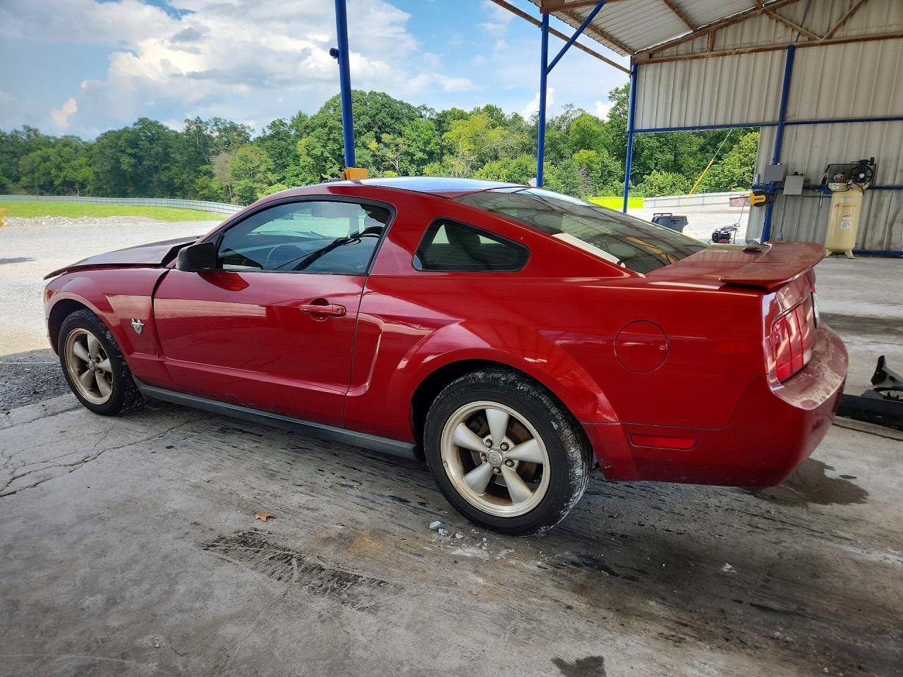 2009 Ford Mustang Red vin: 1ZVHT80N095121855