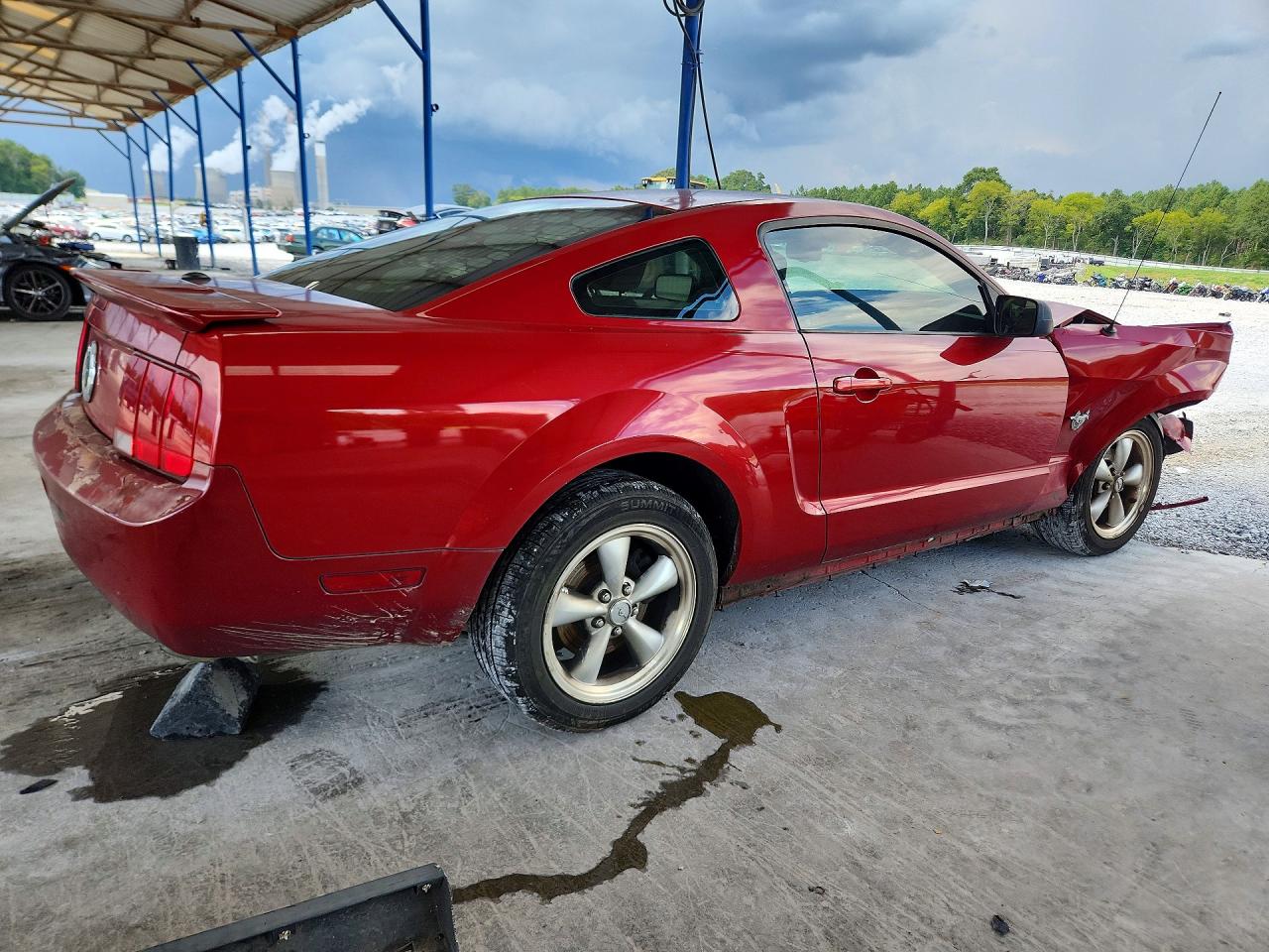 2009 Ford Mustang Red vin: 1ZVHT80N095121855