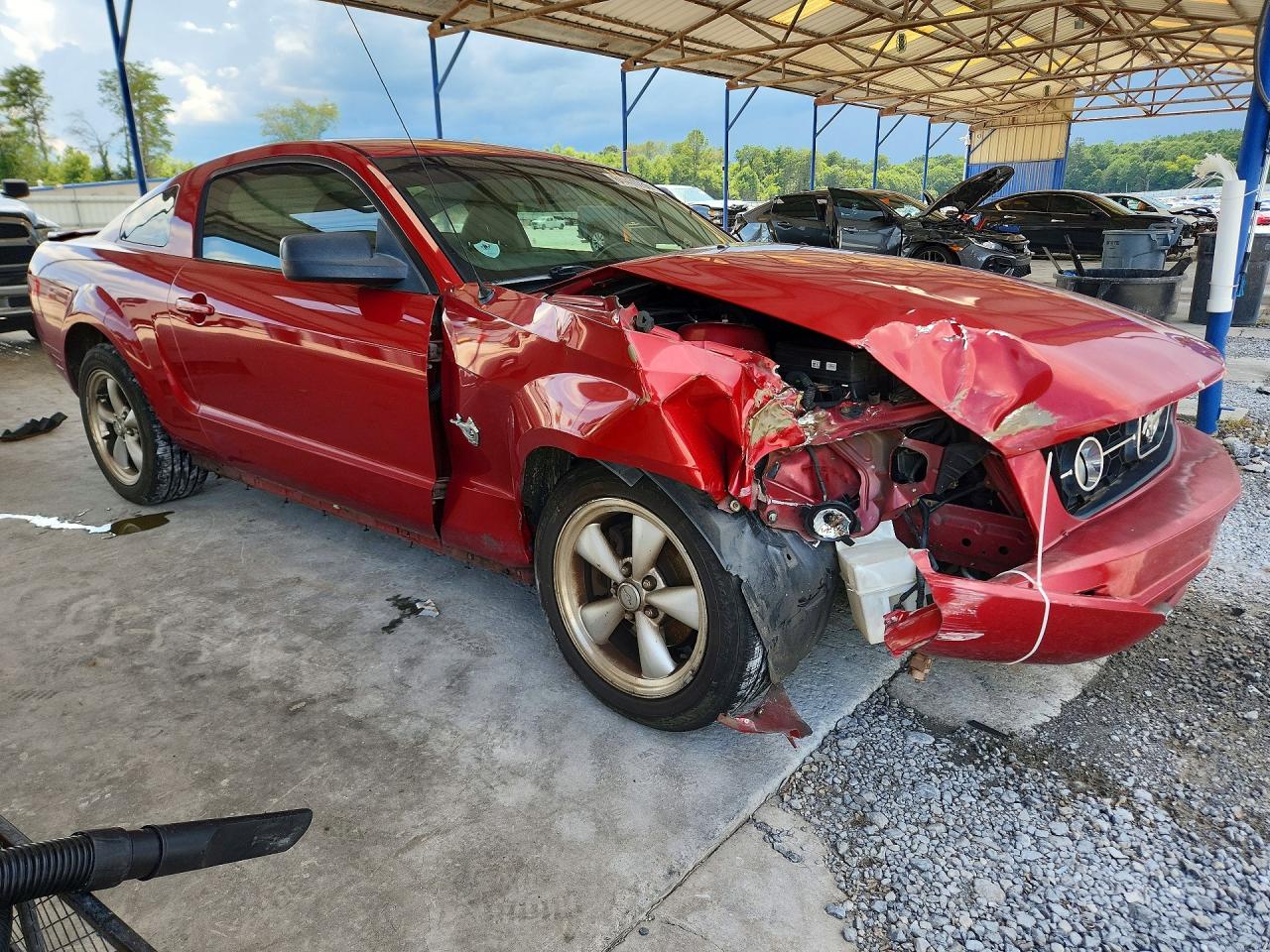 2009 Ford Mustang Red vin: 1ZVHT80N095121855