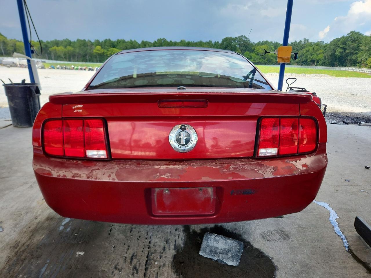 2009 Ford Mustang Red vin: 1ZVHT80N095121855