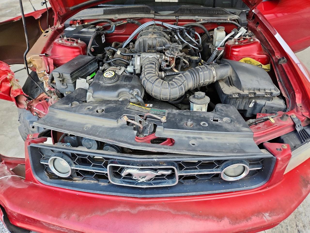 2009 Ford Mustang Red vin: 1ZVHT80N095121855