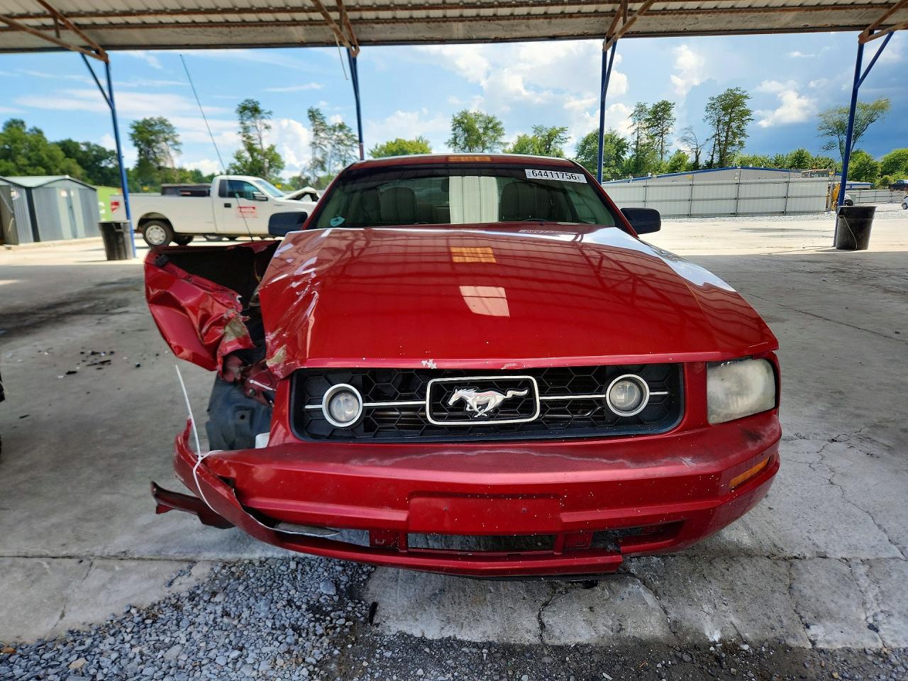 2009 Ford Mustang Red vin: 1ZVHT80N095121855