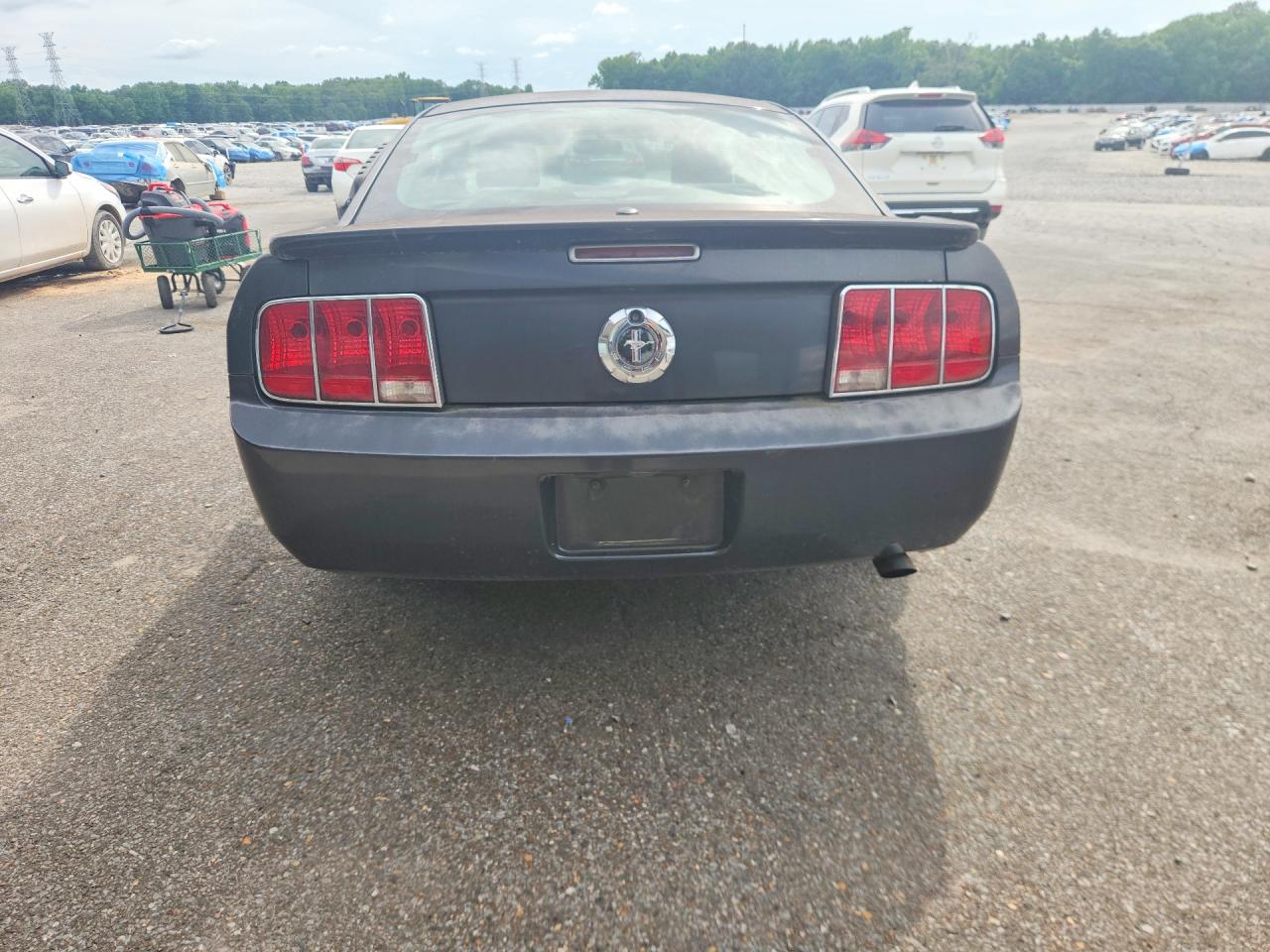 2009 Ford Mustang Gray vin: 1ZVHT80N095126179