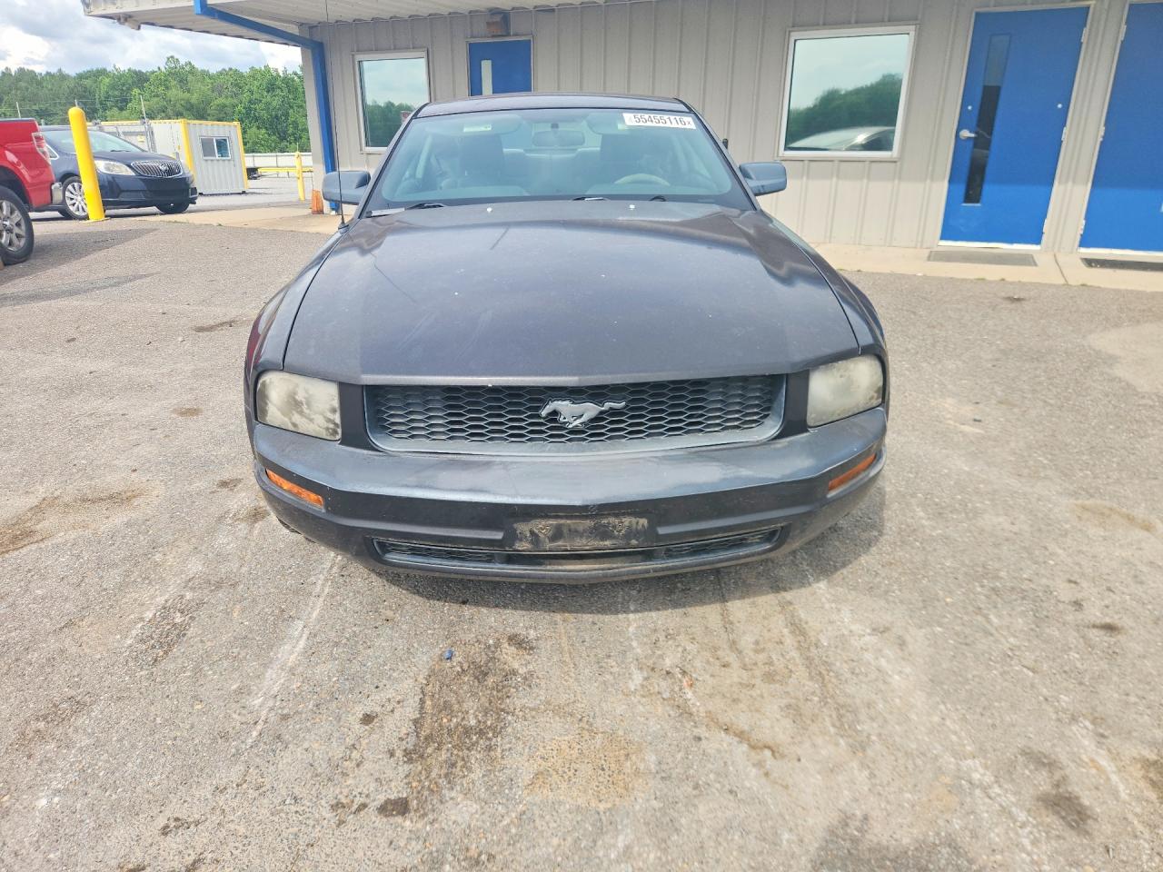 2009 Ford Mustang Gray vin: 1ZVHT80N095126179