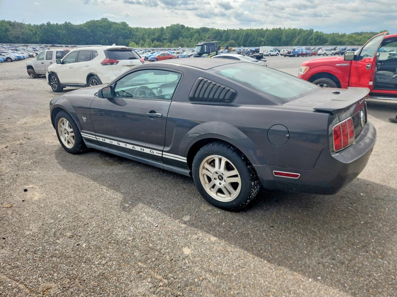 2009 Ford Mustang Gray vin: 1ZVHT80N095126179