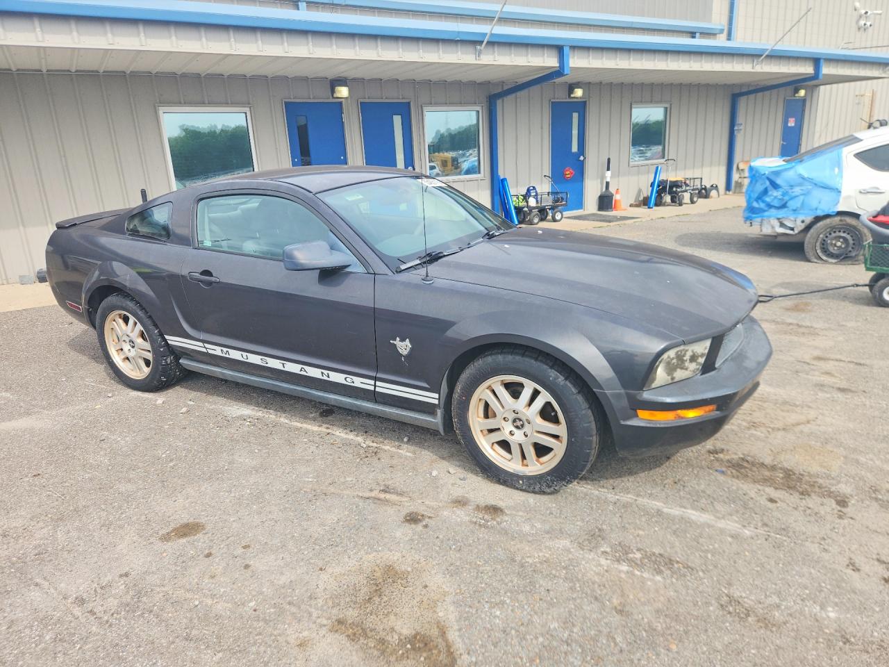 2009 Ford Mustang Gray vin: 1ZVHT80N095126179
