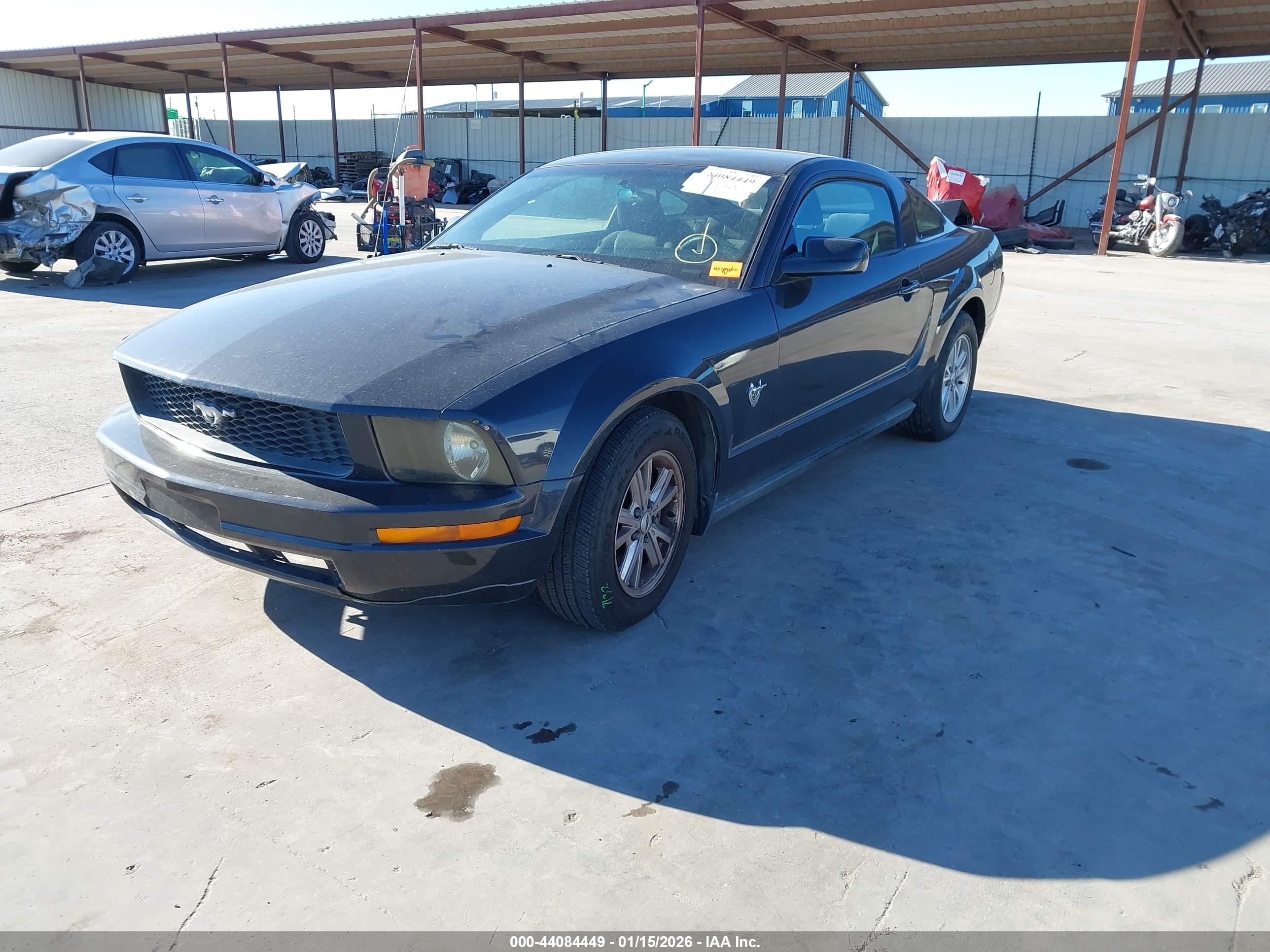 2009 Ford Mustang V6/v6 Premium Black vin: 1ZVHT80N095128546