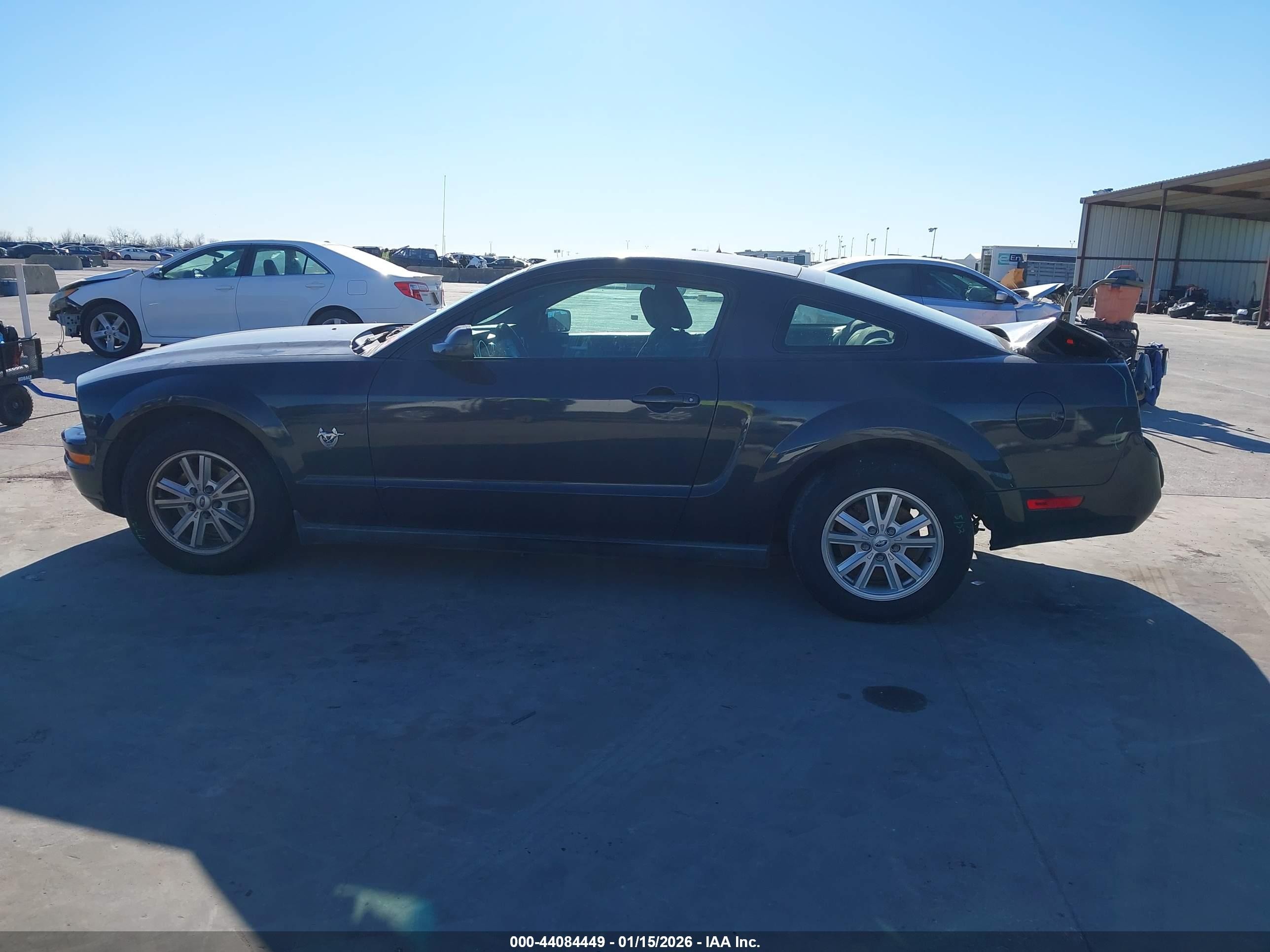 2009 Ford Mustang V6/v6 Premium Black vin: 1ZVHT80N095128546